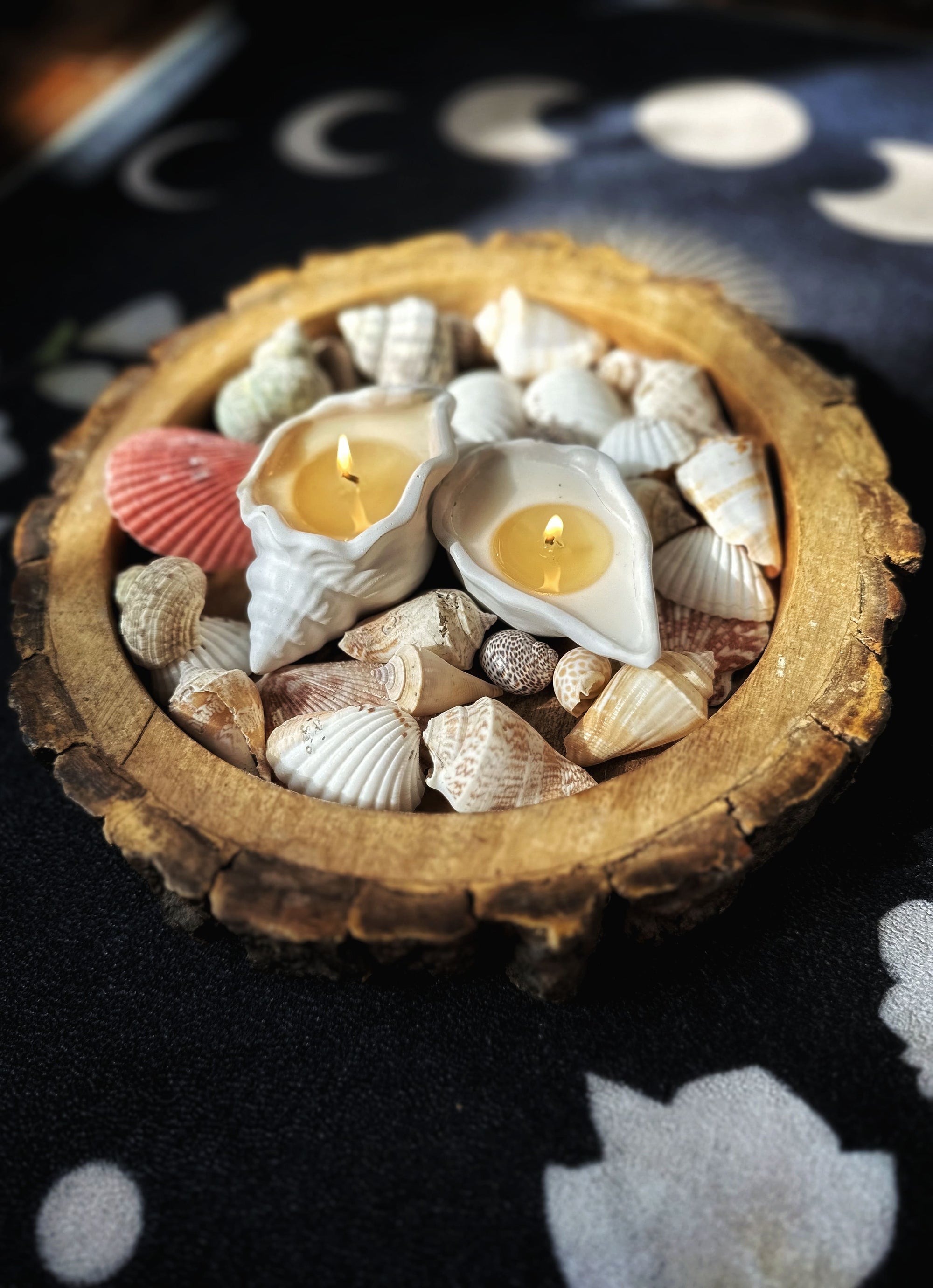 Goa Glow Shell Candles (Set of 2)