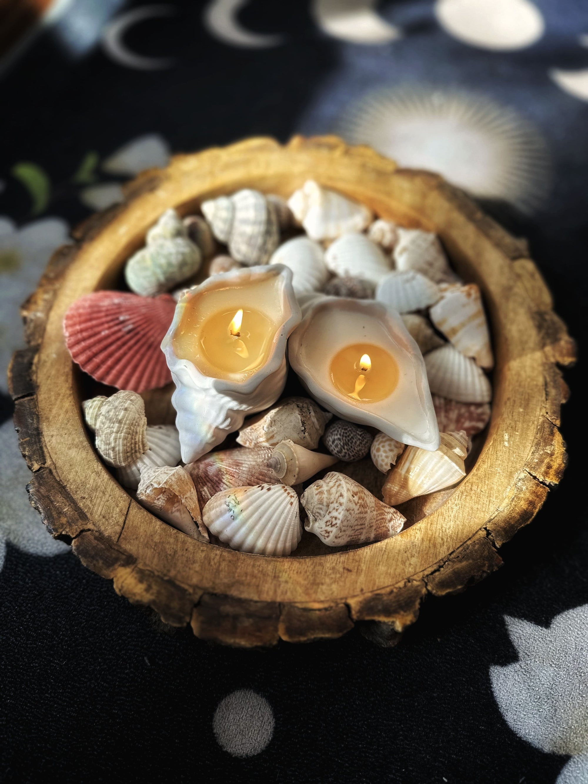 Goa Glow Shell Candles (Set of 2)
