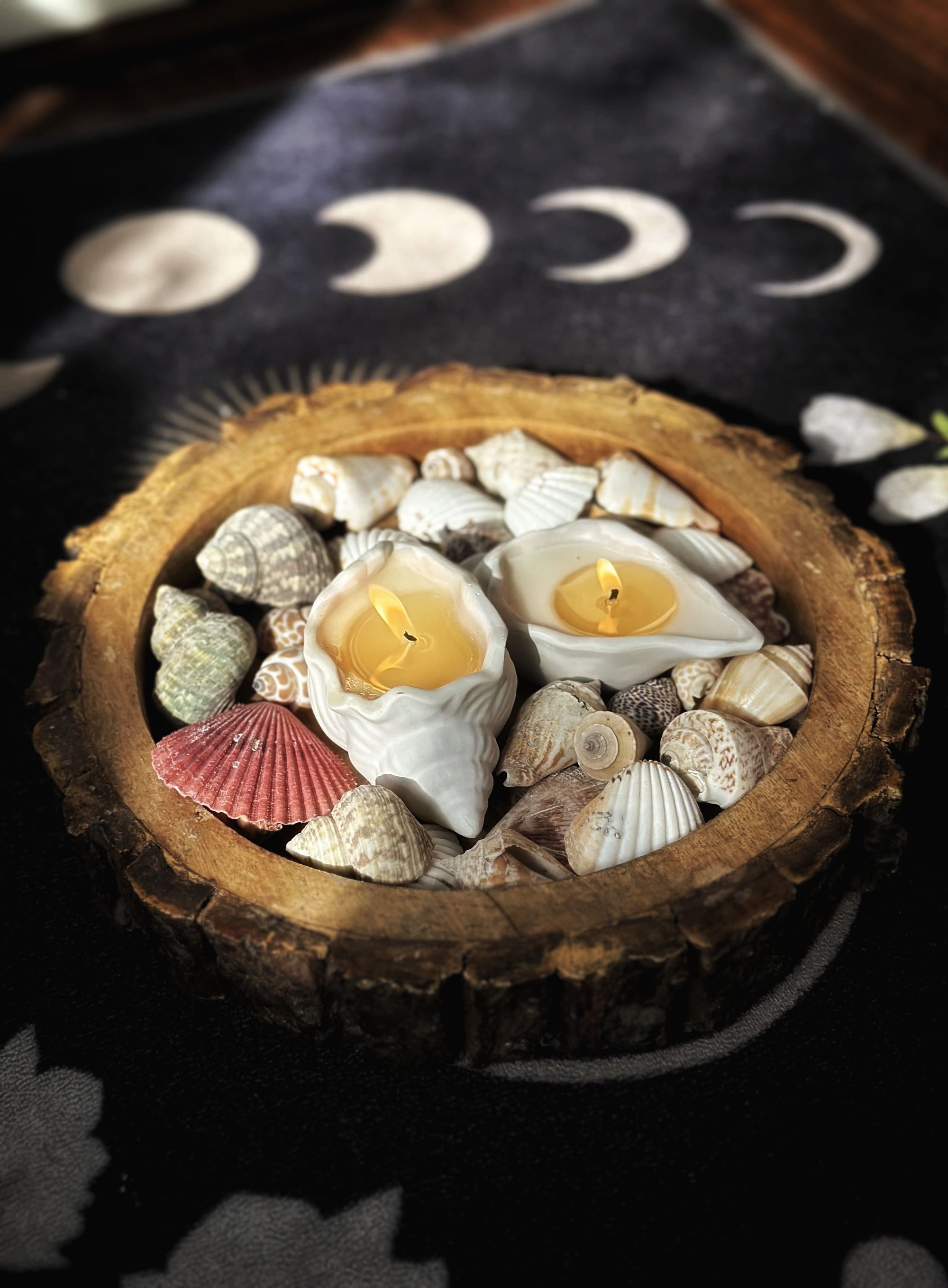 Goa Glow Shell Candles (Set of 2)