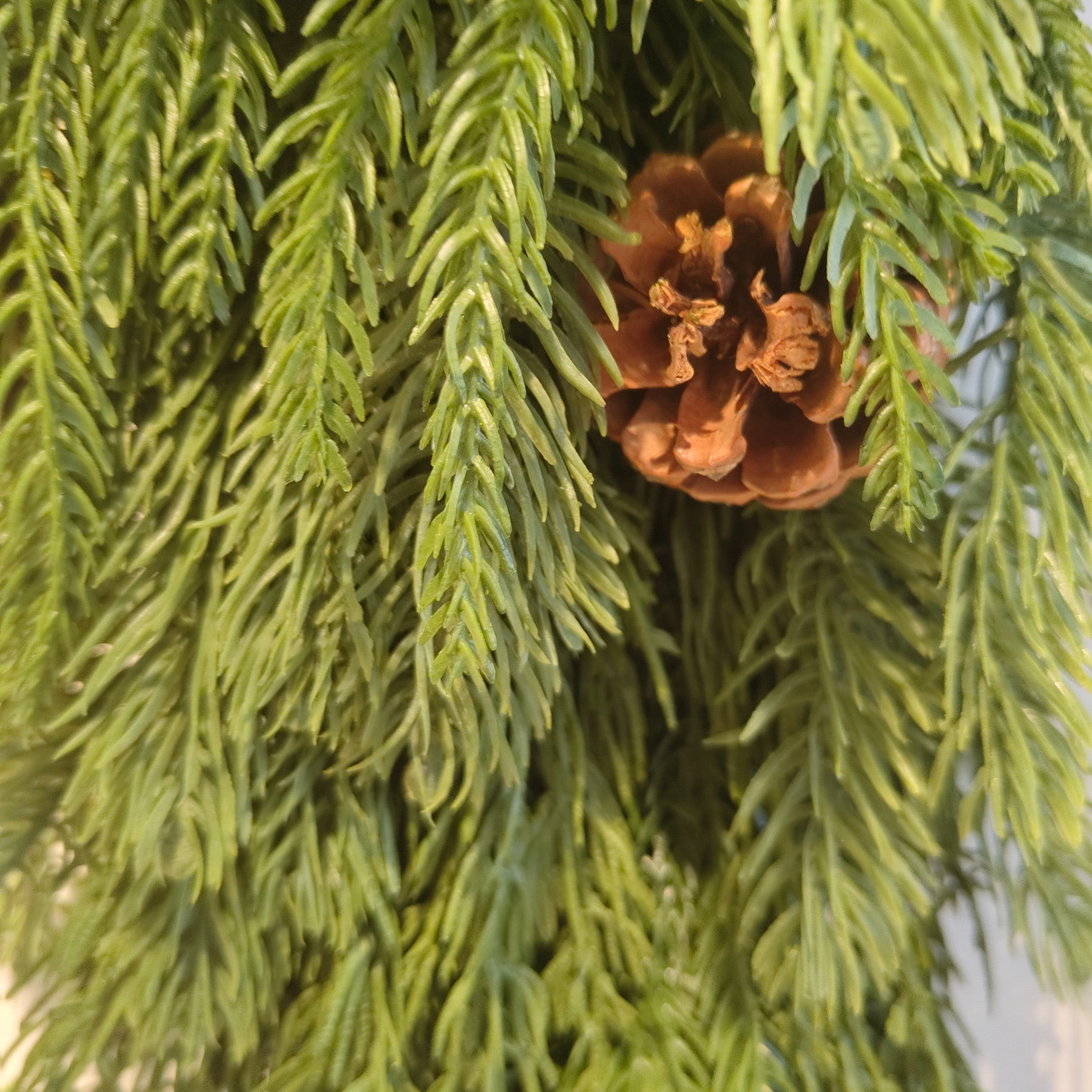 Christmas Norfolk Pine Swag (Medium)