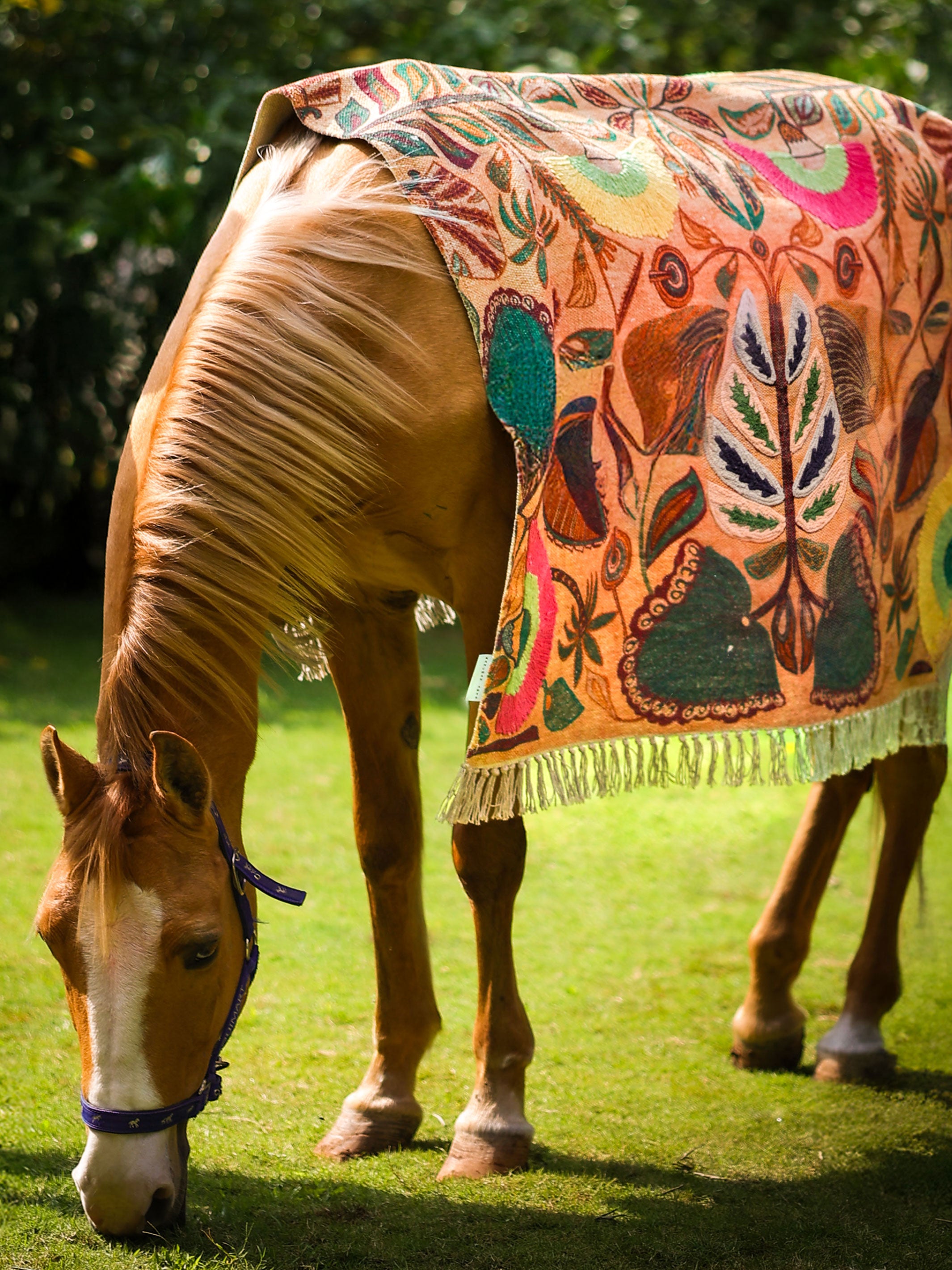 Sunlit Botanical Rug