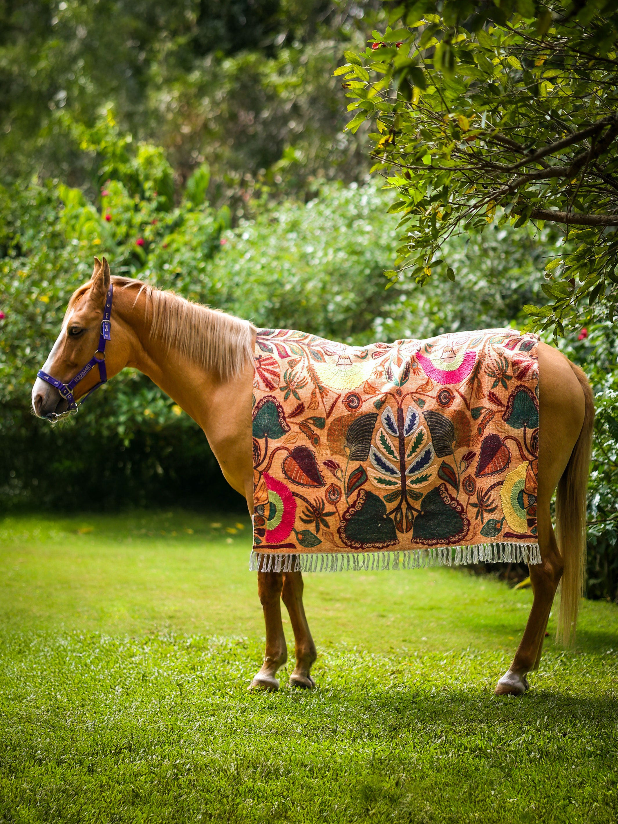 Sunlit Botanical Rug