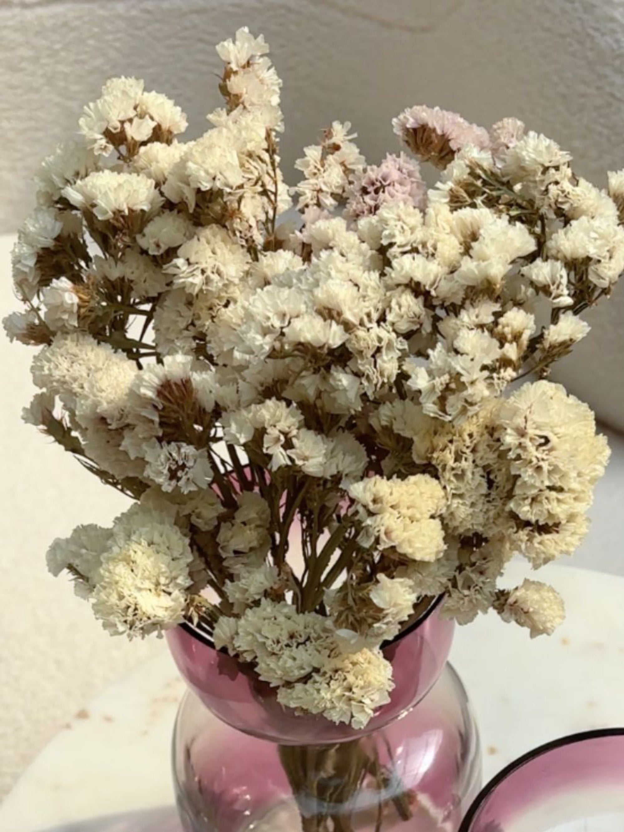 Dried Flower - Statice