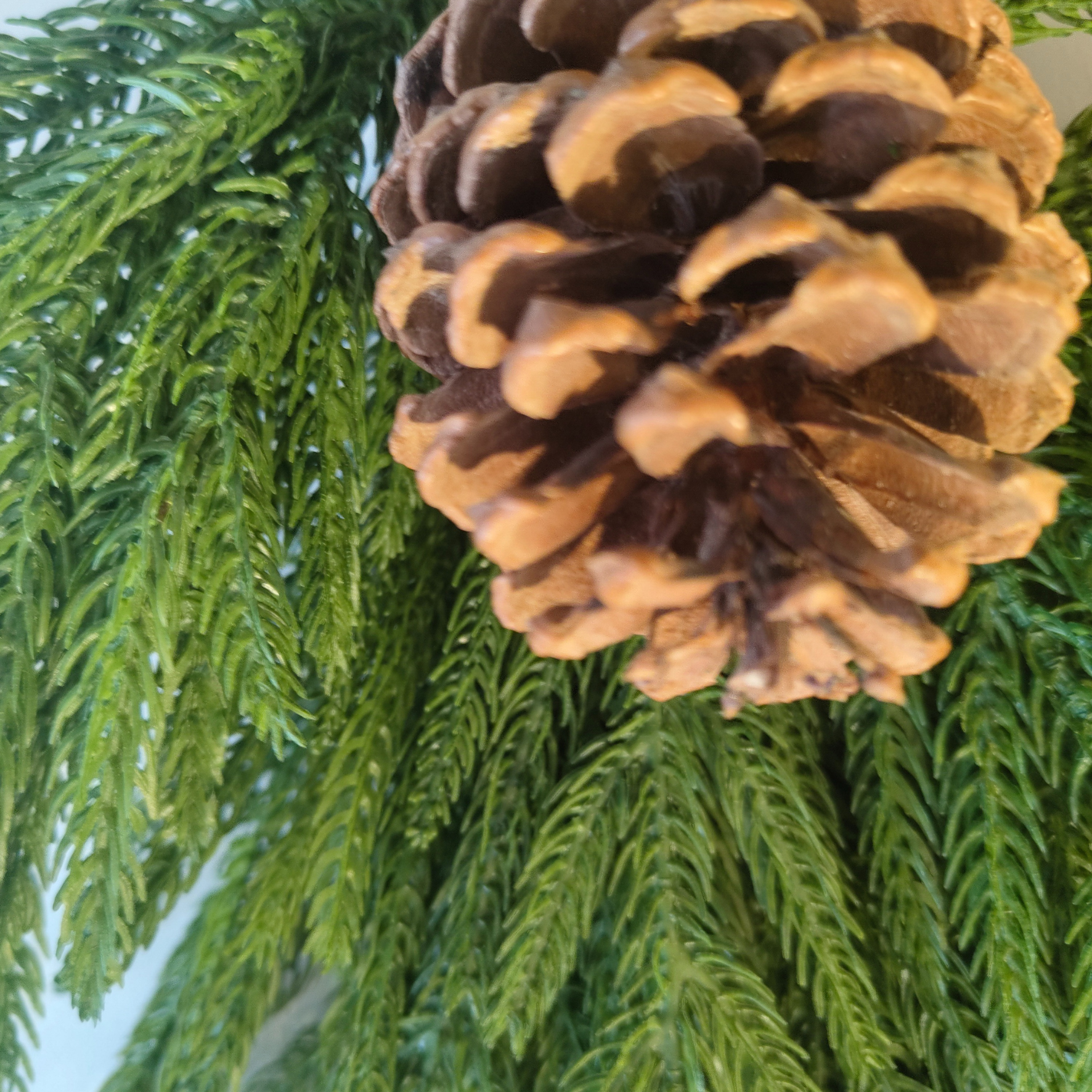 Christmas Norfolk Pine Double Swag