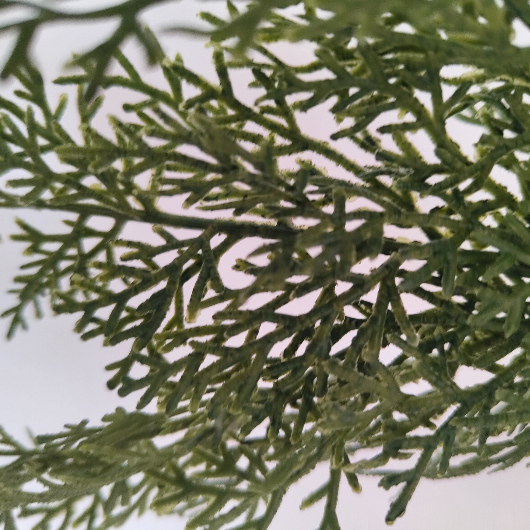 Christmas Cedar Garland