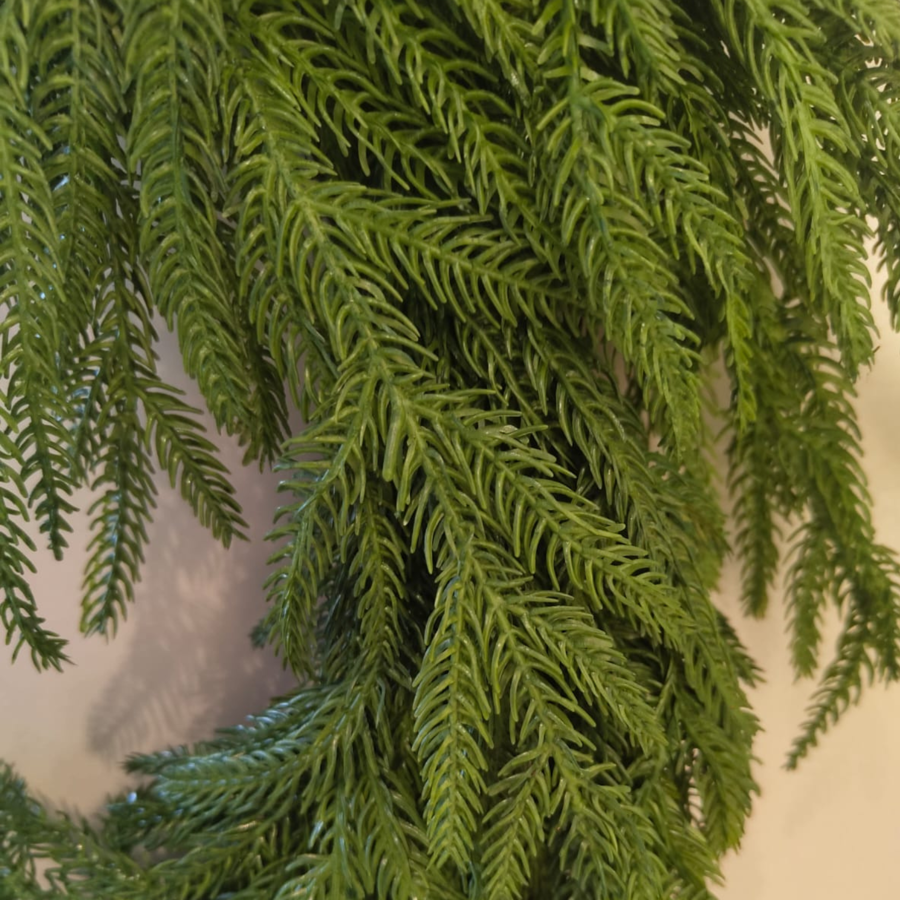 Christmas Norfolk Pine Wreath (Large)