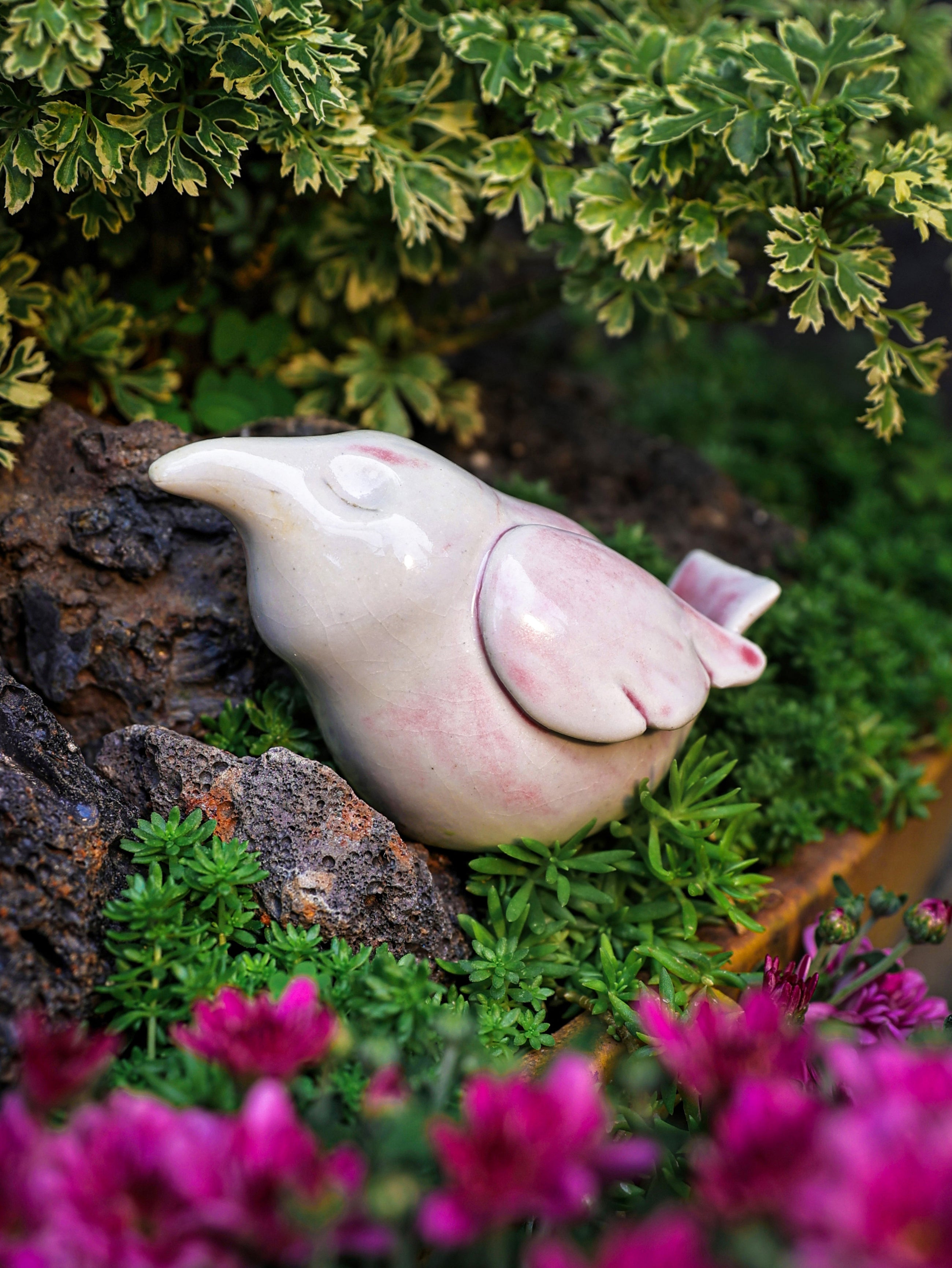 Little Birds - White