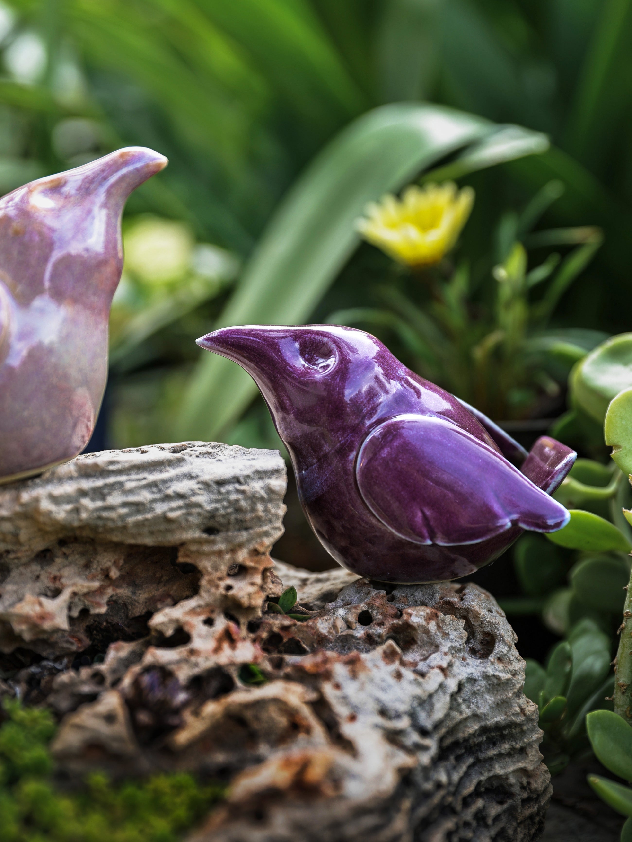 Little Birds - Purple