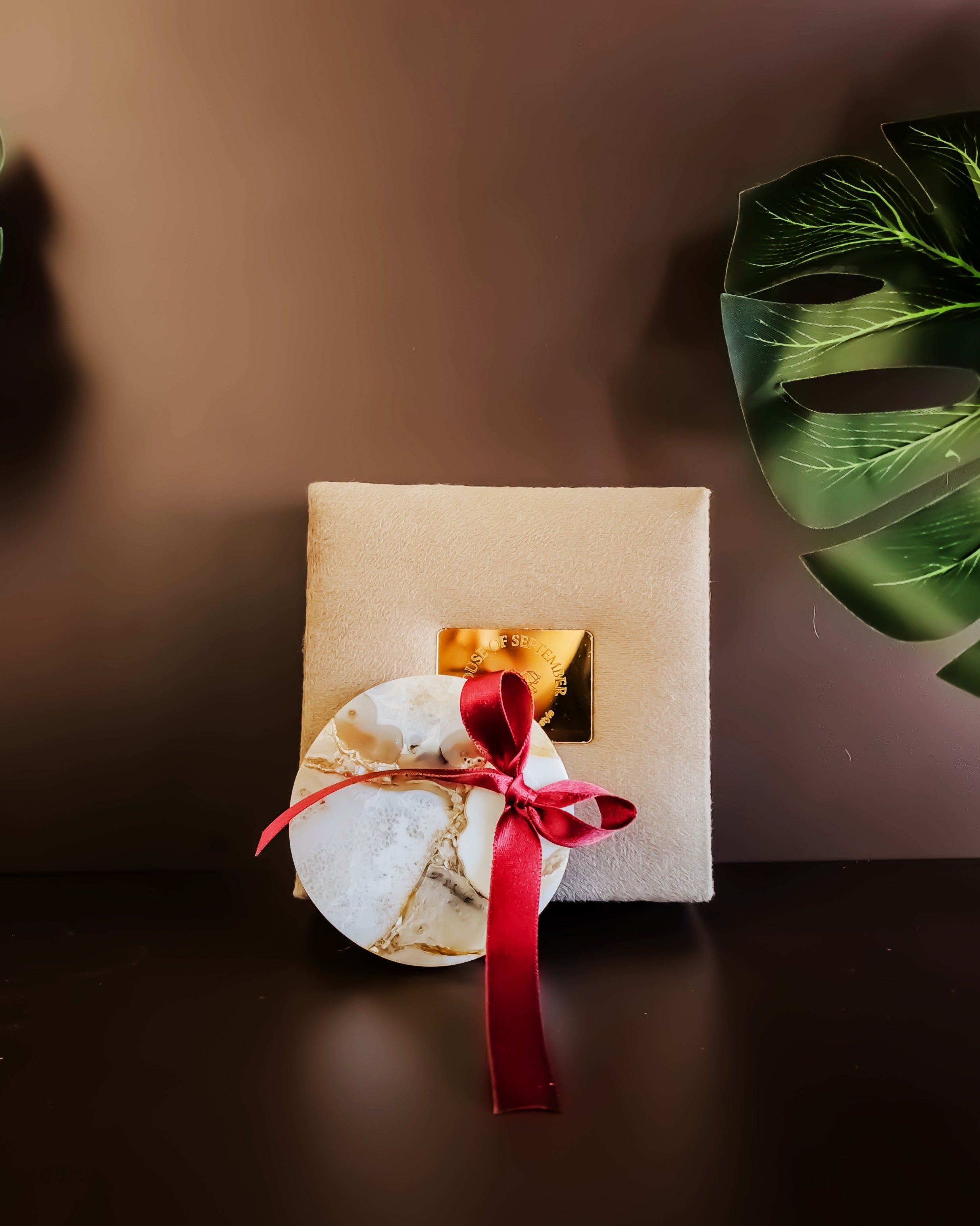 Natural Agate Coaster - Round ( Set Of 2 )