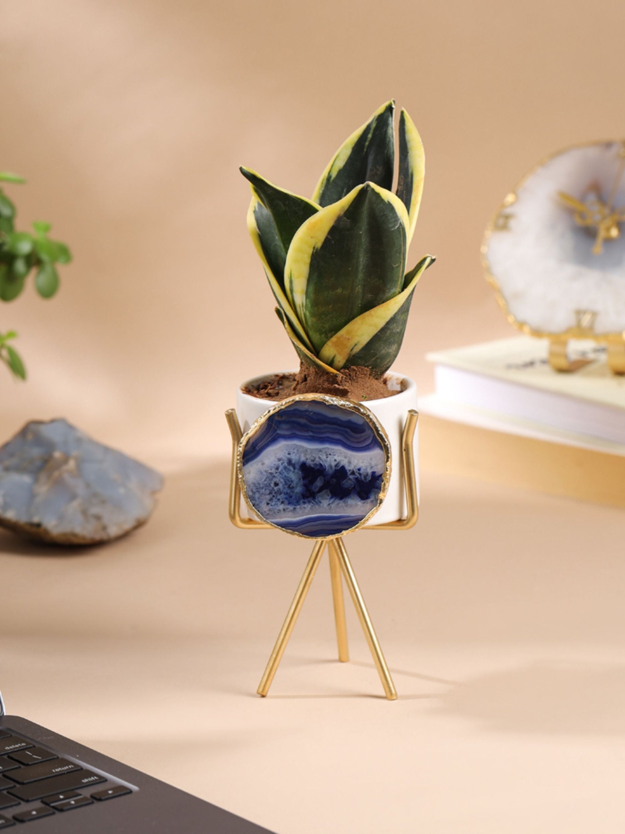 Agate Planter Blue