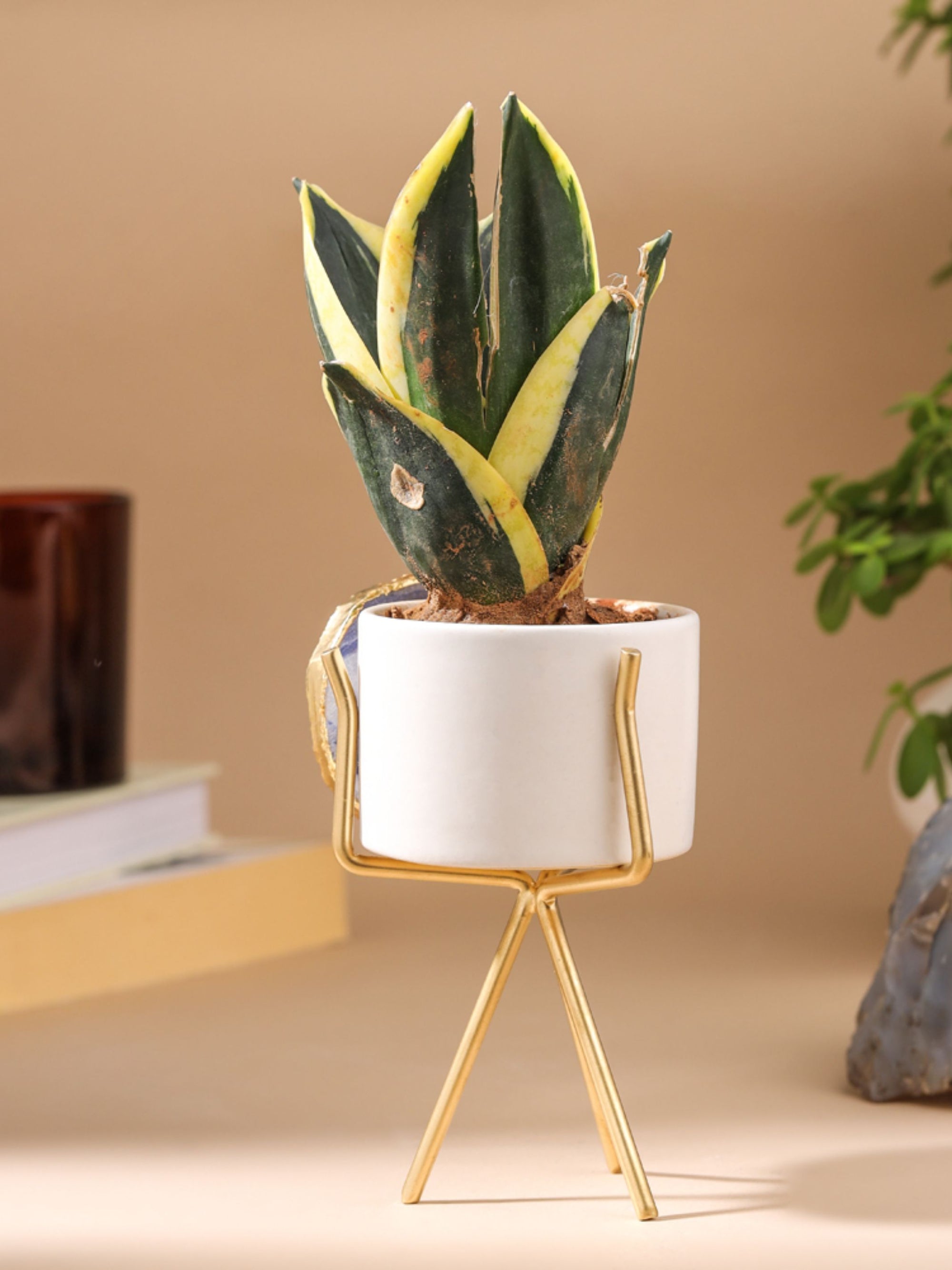 Agate Planter Blue