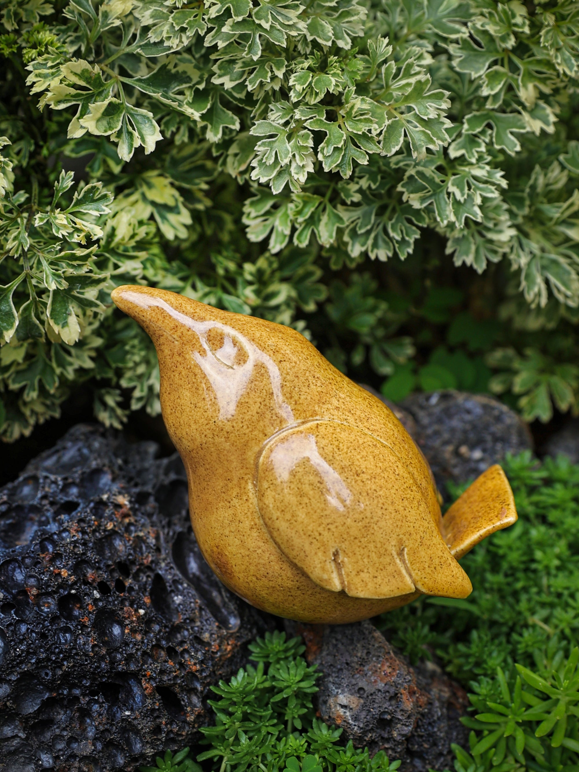 Little Birds - Mustard Yellow