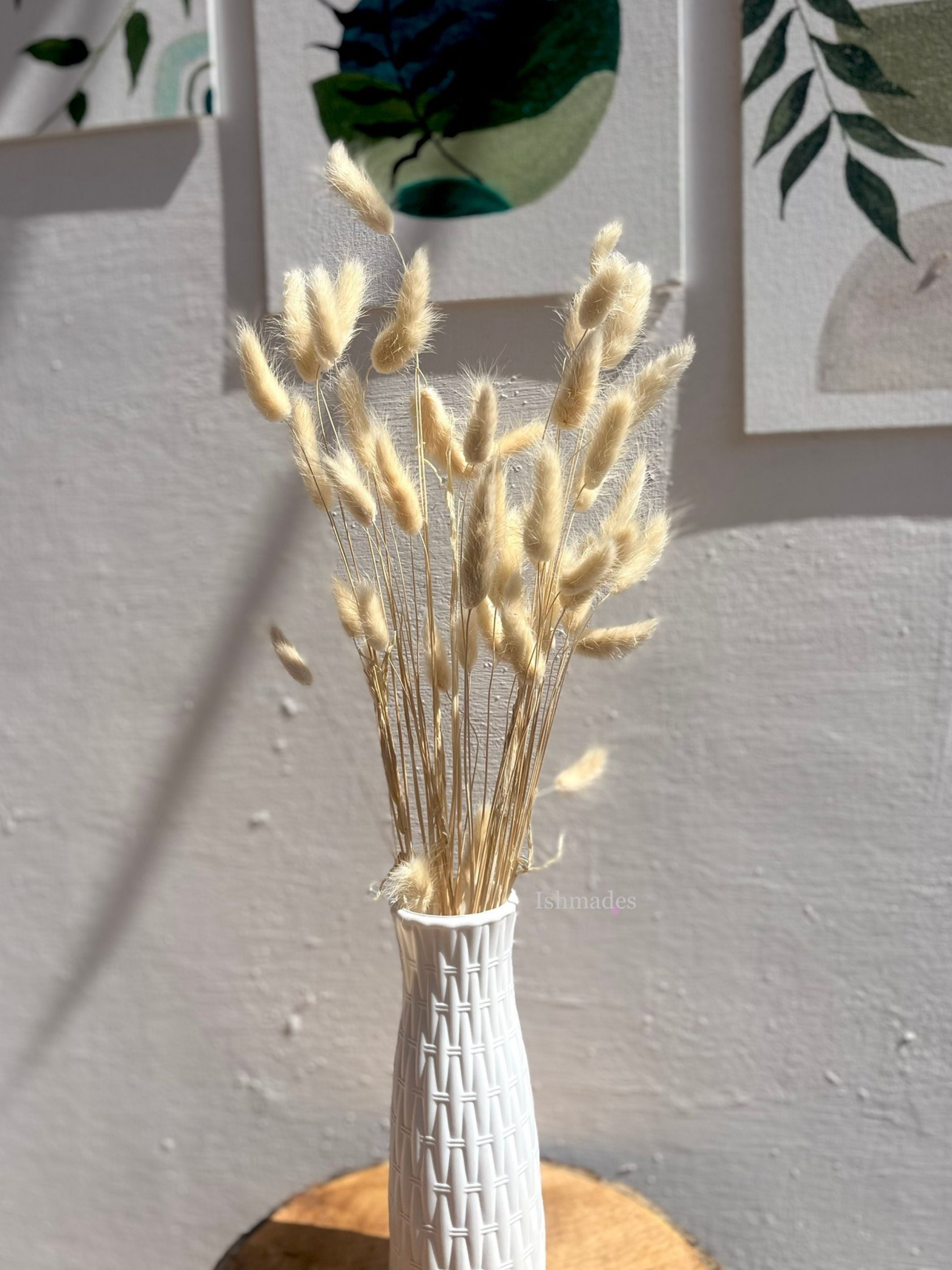 Real Dried Bunny Tail Grass