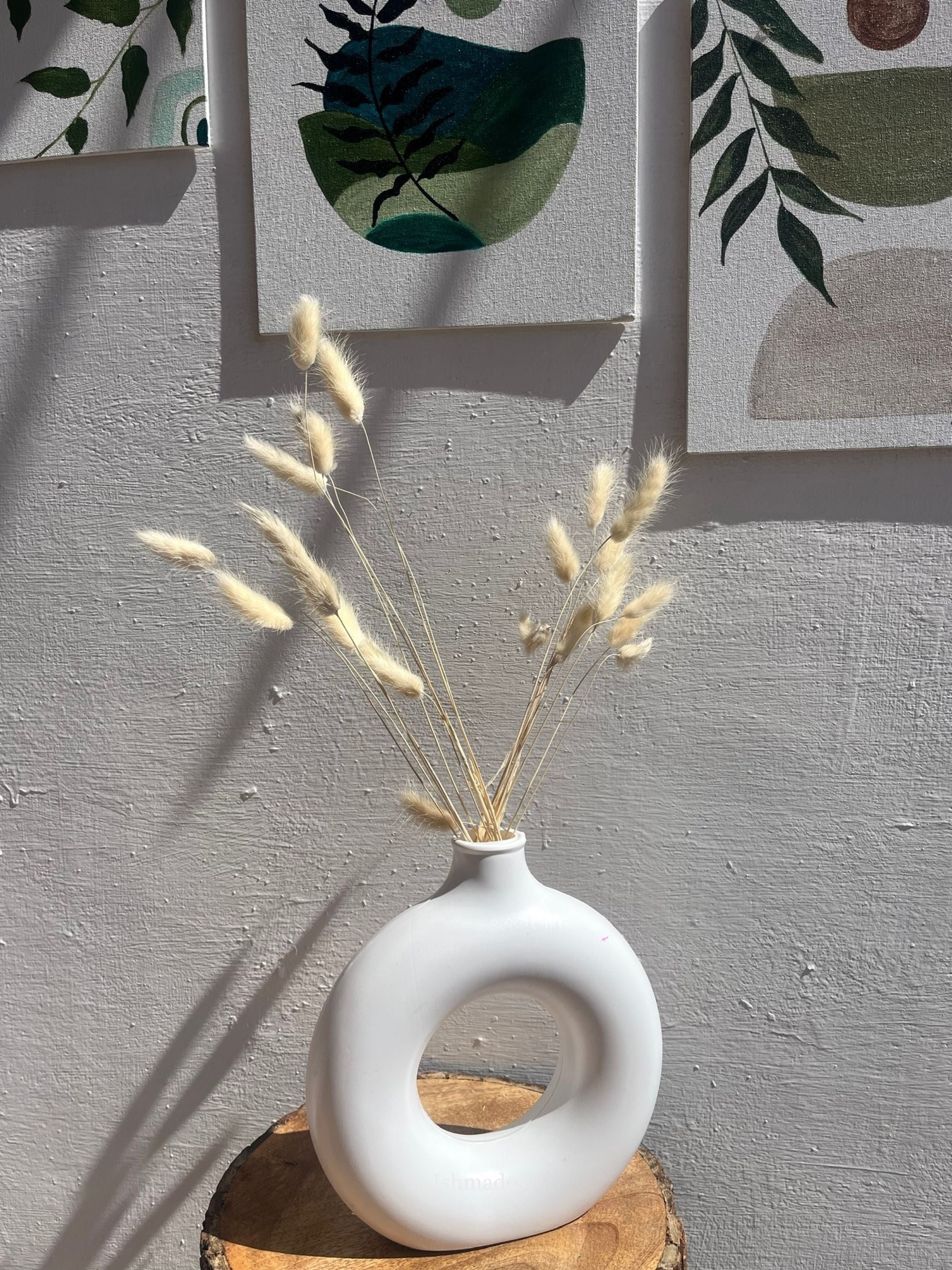 Real Dried Bunny Tail Grass