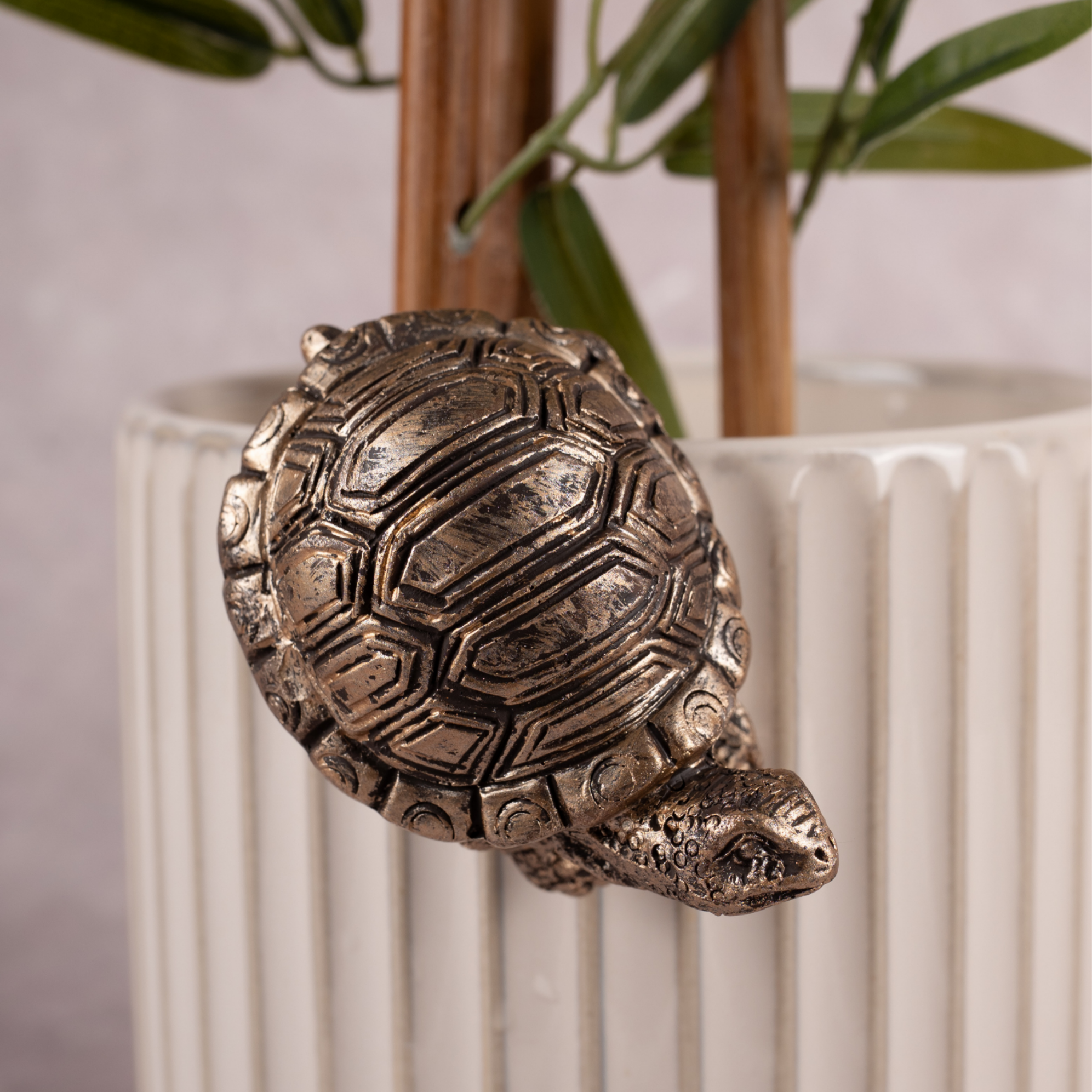 Slow & Steady Charmers - Set of 3 (Gold)