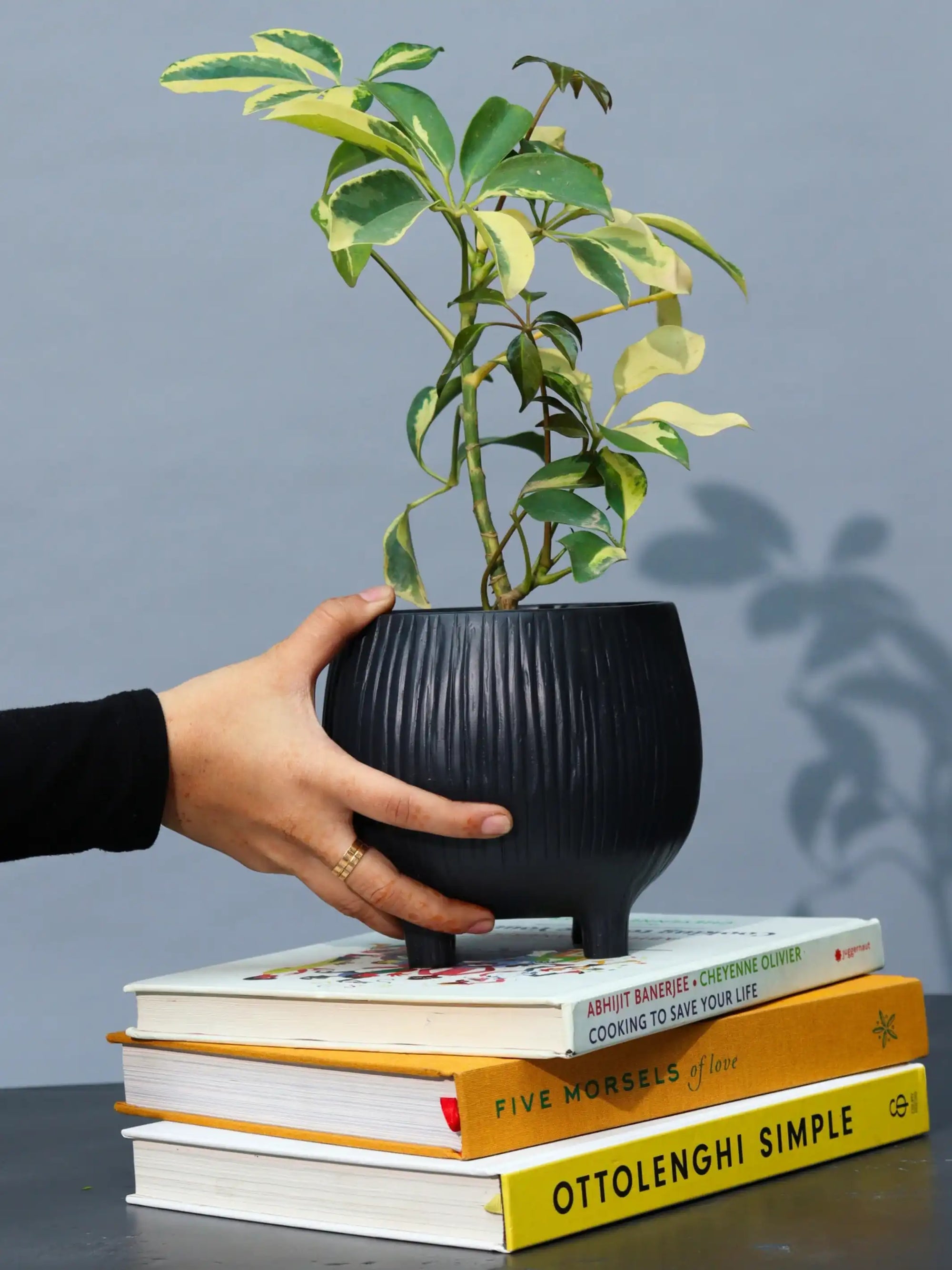 Handmade Organic Planter