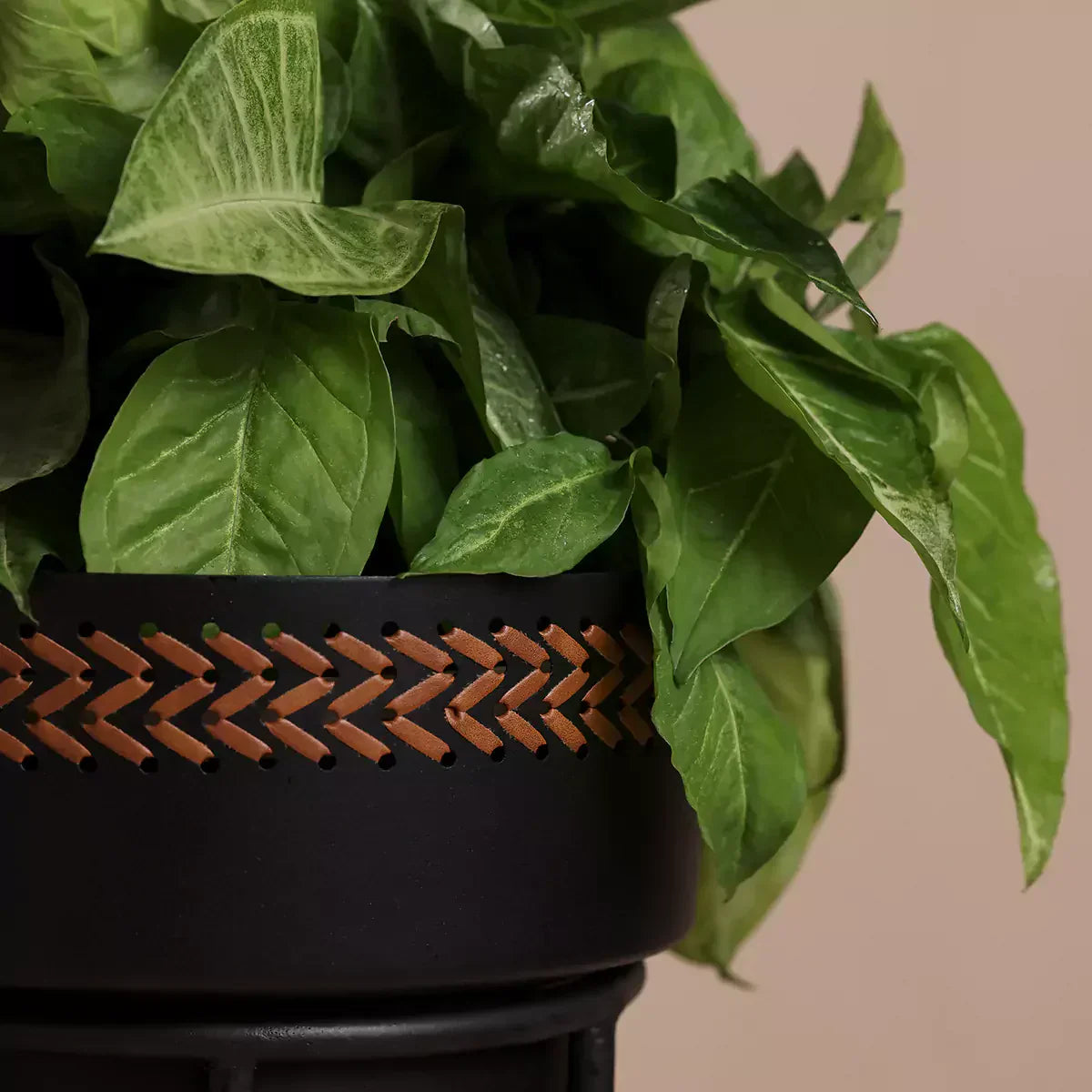 Black Weave Planter Set of 2