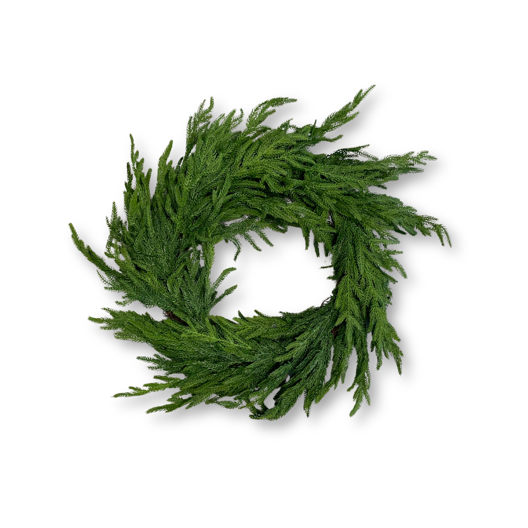 Christmas Norfolk Pine Wreath (medium)