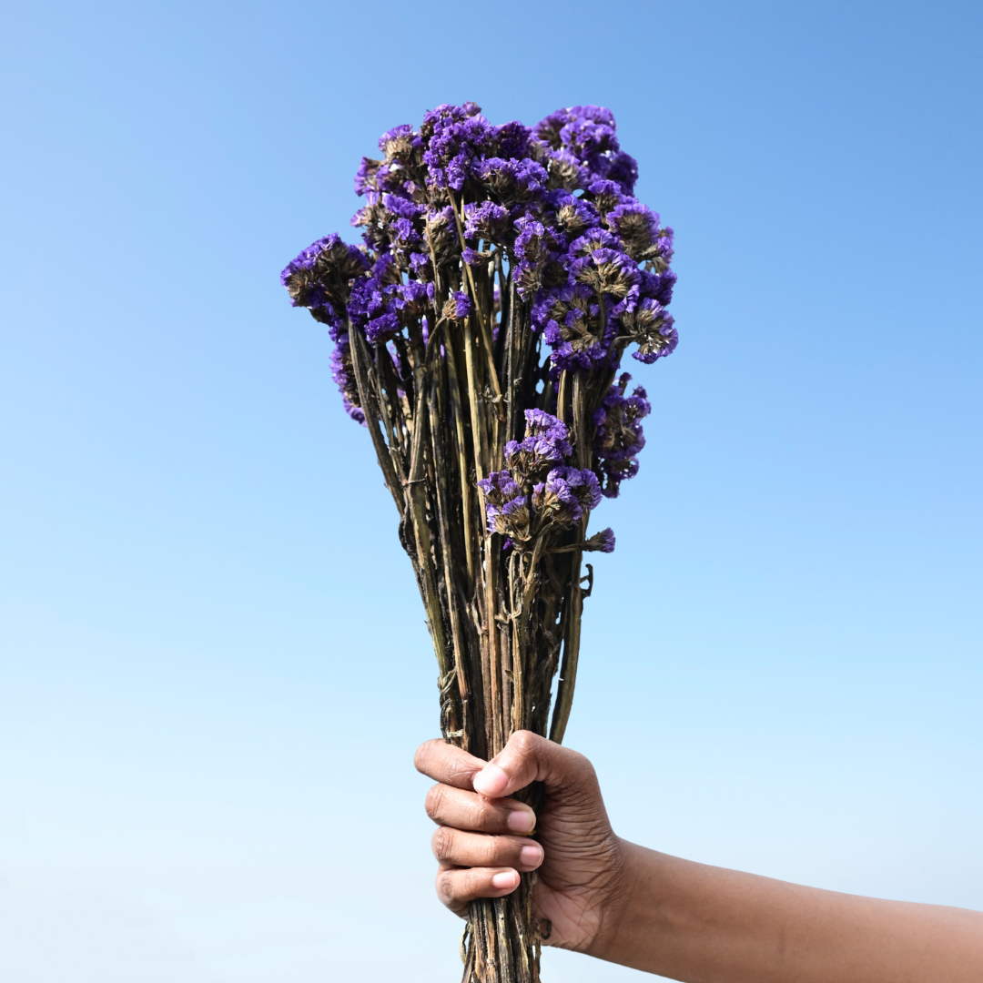 Natural Dried Purple Statice Flower