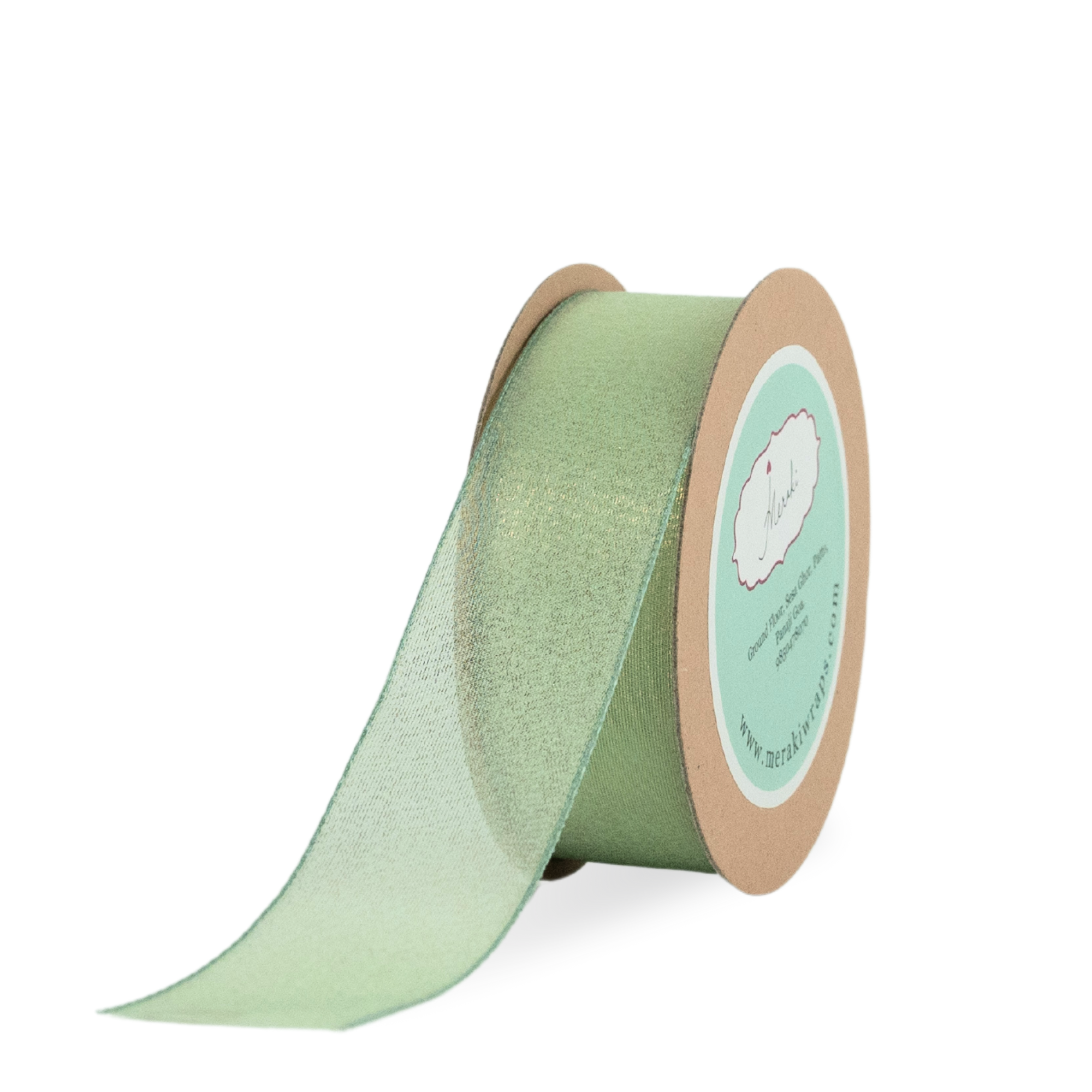 Shimmery Ribbon