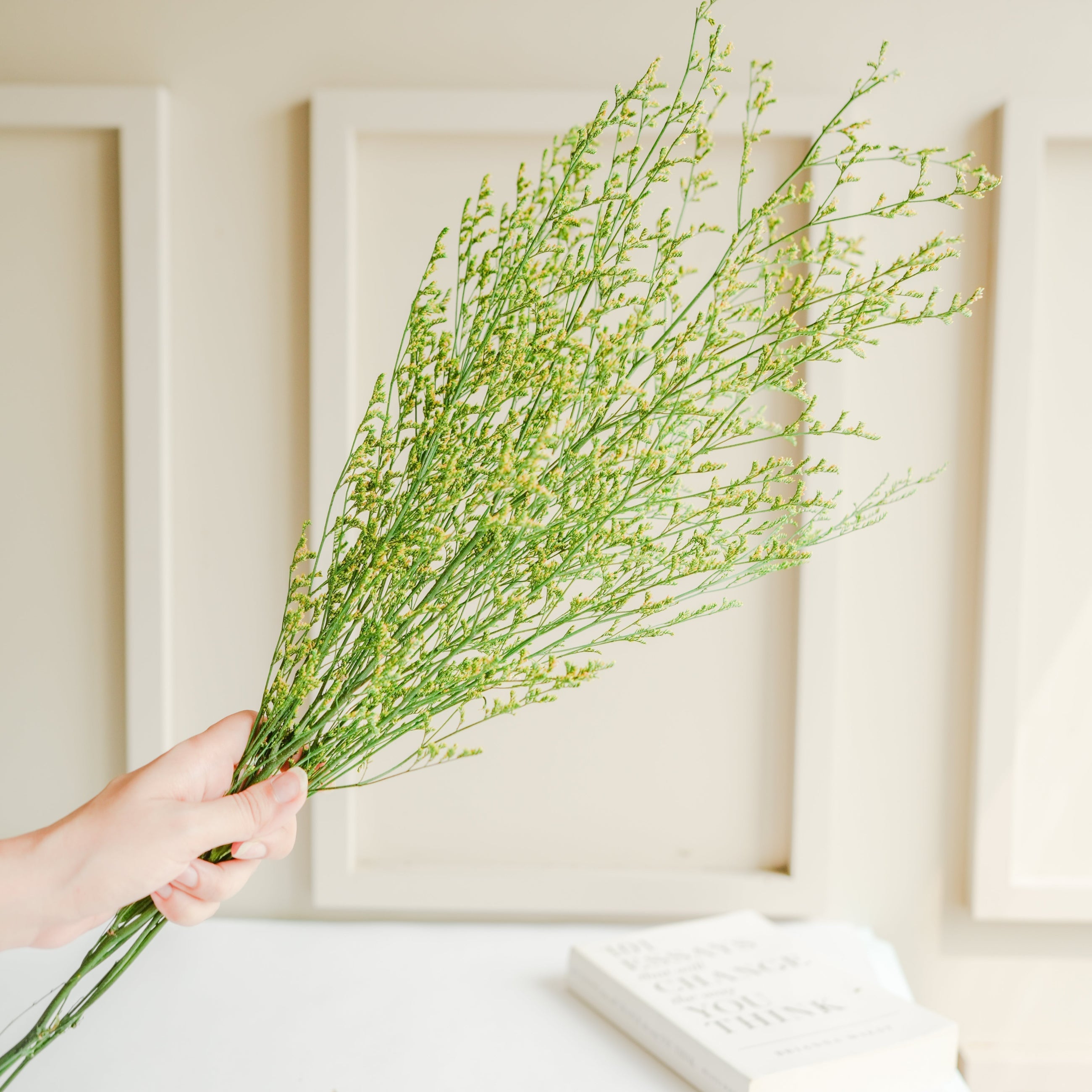Green Limonium Dried flower