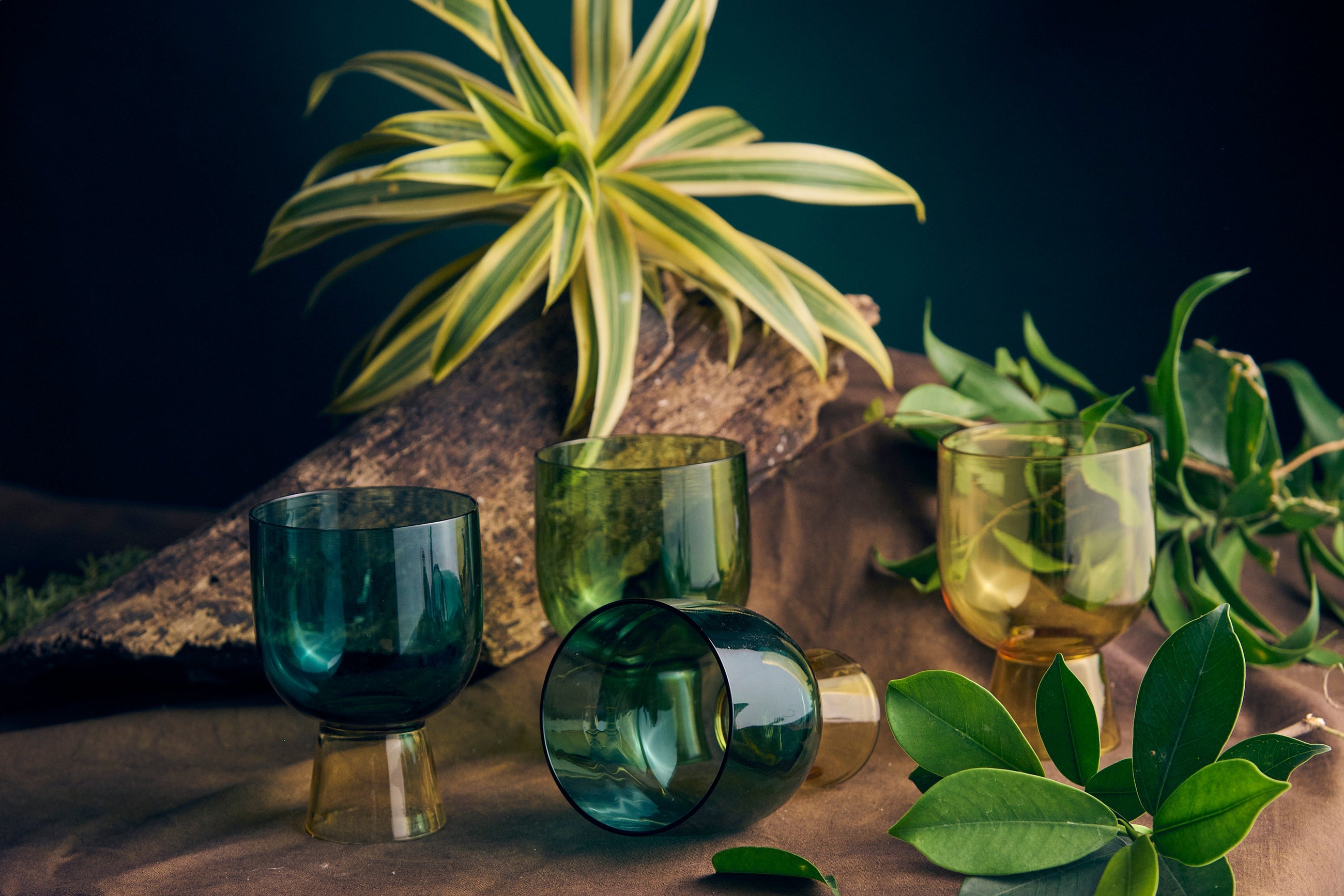 Coloured Coupe Glass | 275 ml | Set of 2, 4, 6