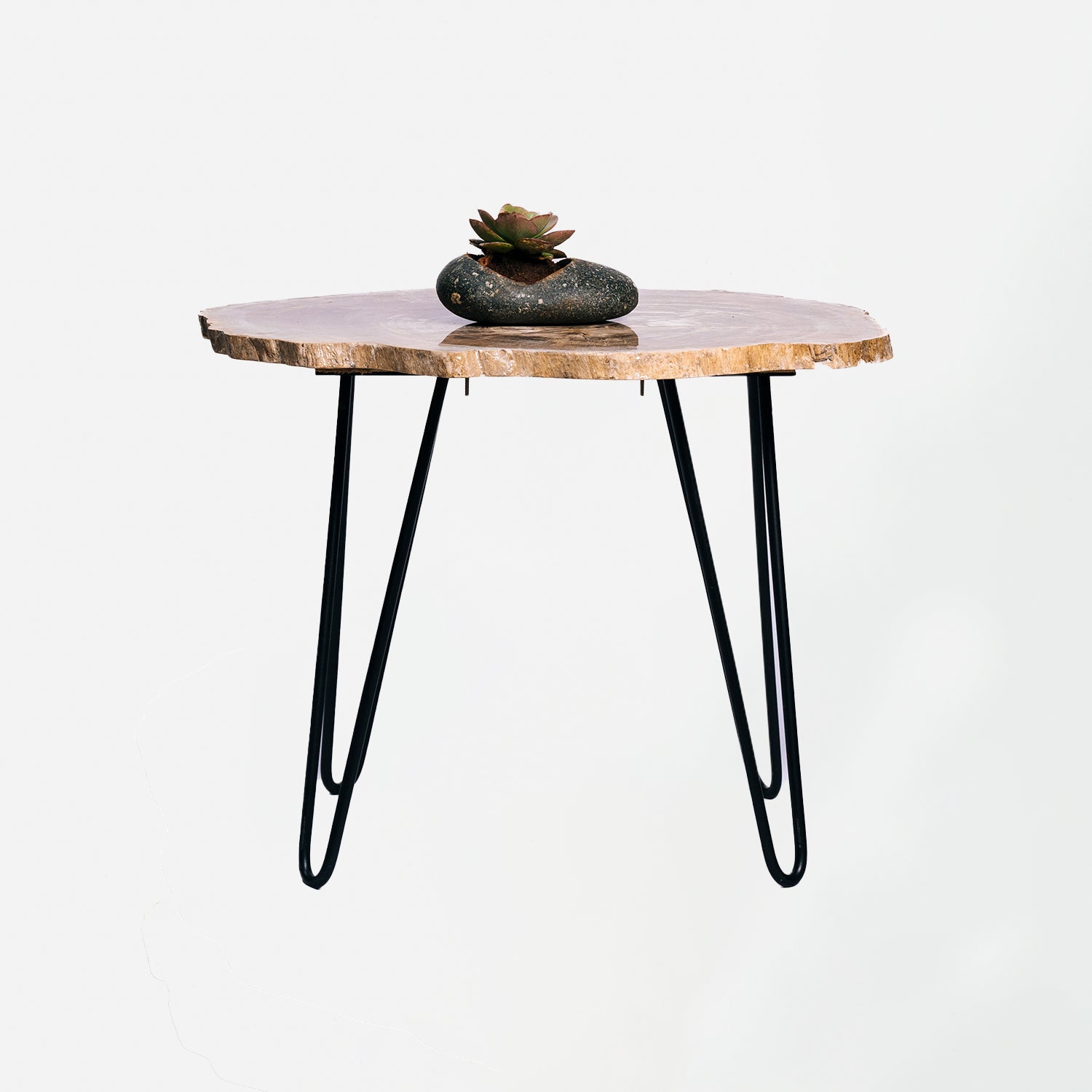 Petrified Wood Side Table