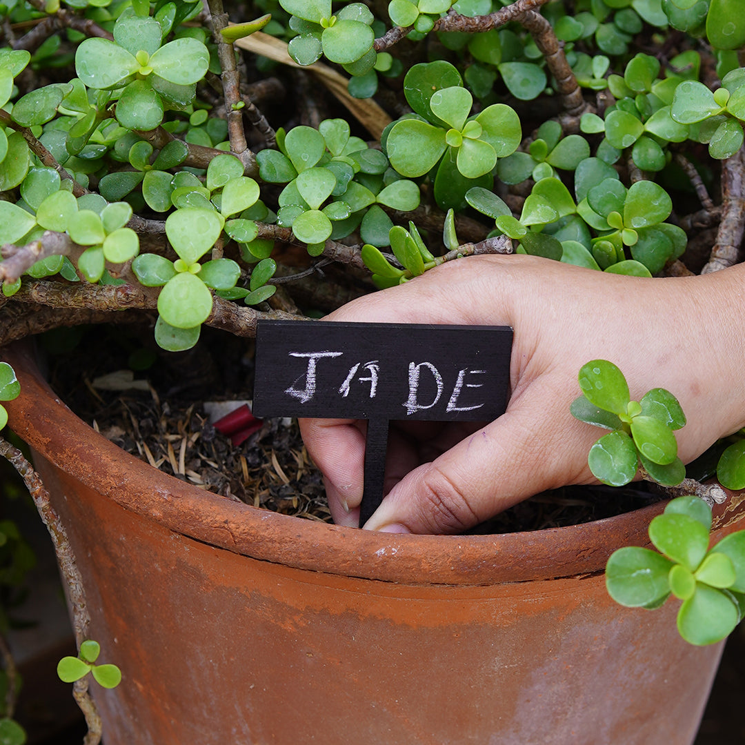 Gardeners Gift Set (Apron, Journal & Gardening Essentials)