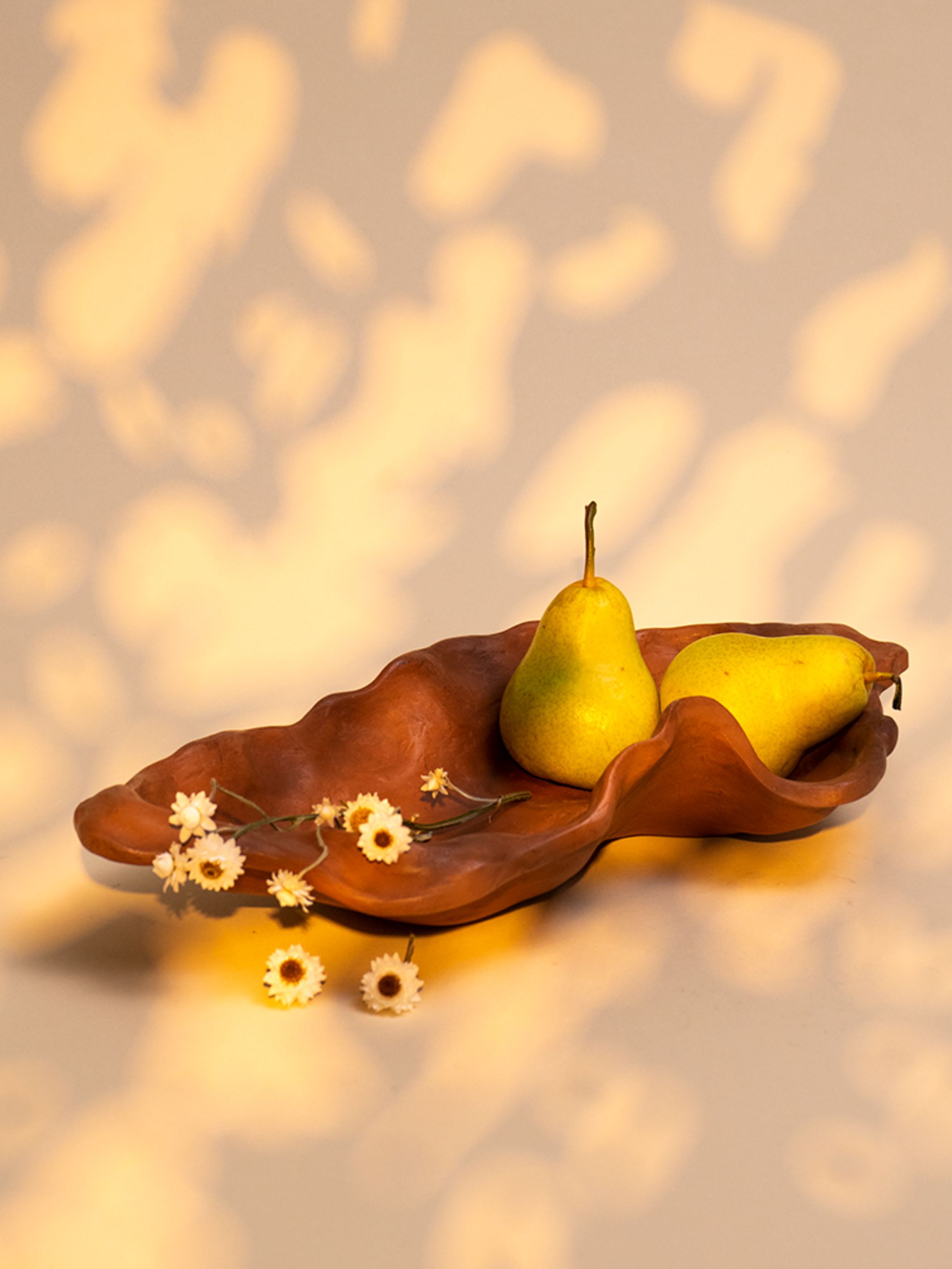 Kai Organic Bowl - Large