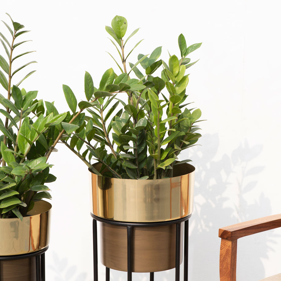 Dual Tone Planter (Set of 2)