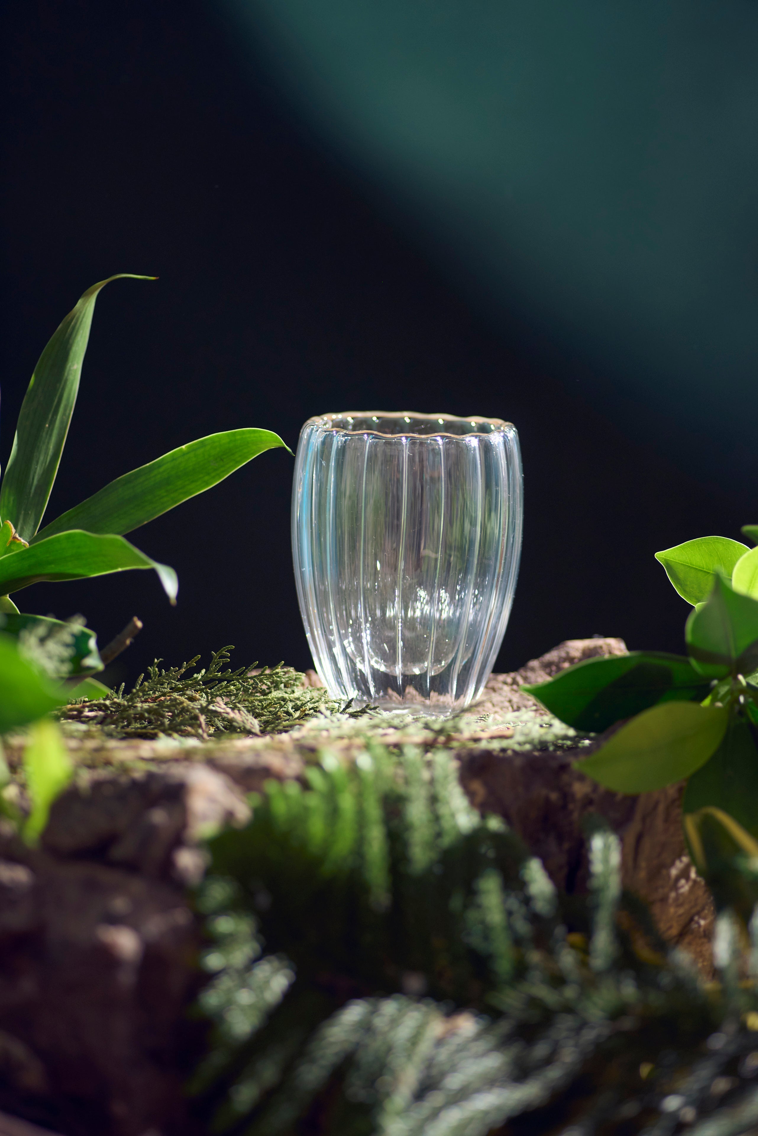 Fluted Double Wall Cup | 150 ml | Set of 2, 4, 6