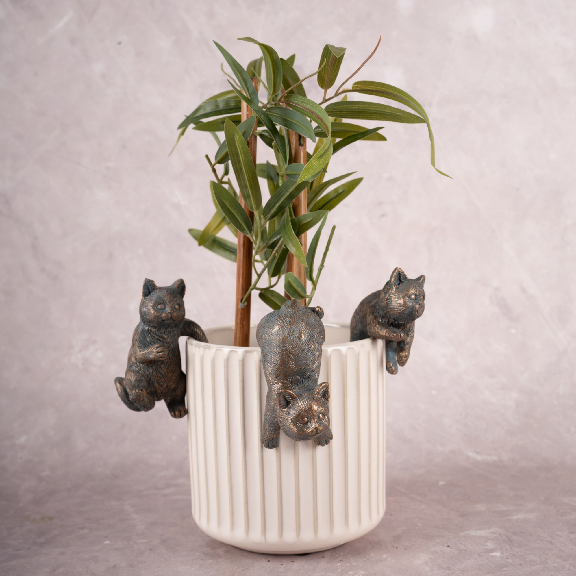 Curious Cats - Set of 3 (Multicolour)