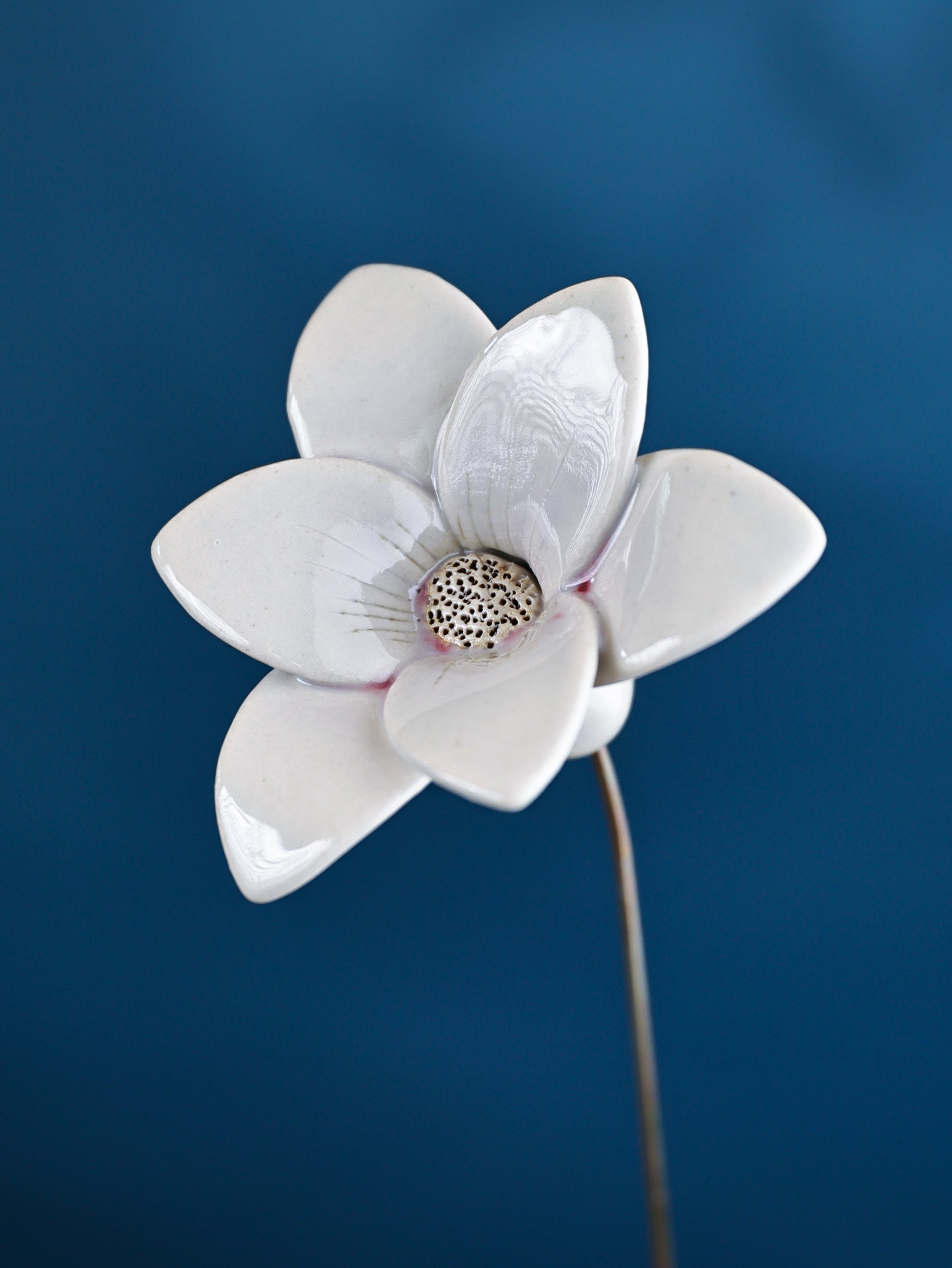 Buttercup Single Flower Stem- white