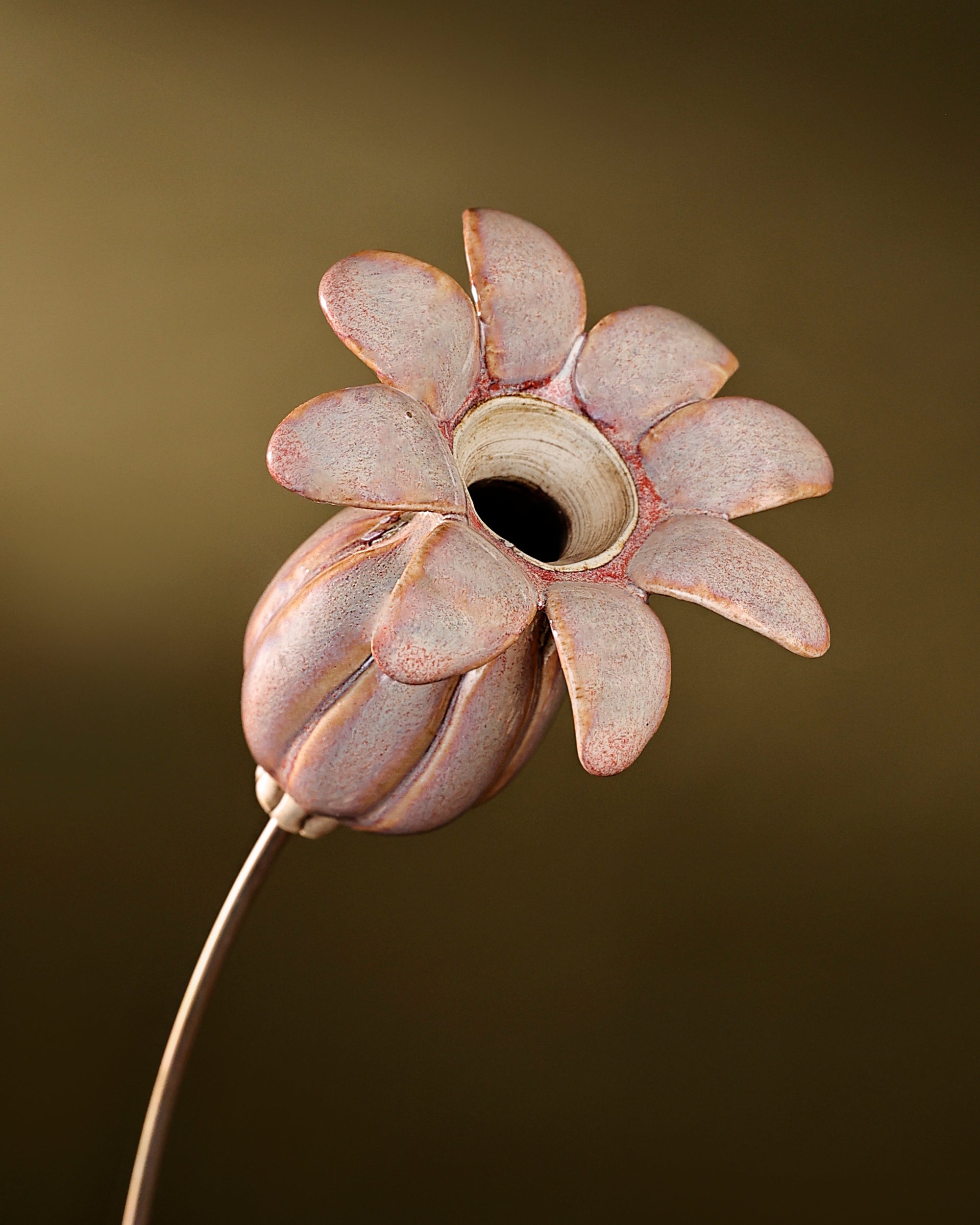 Flowering Pod Tall -single - Blush