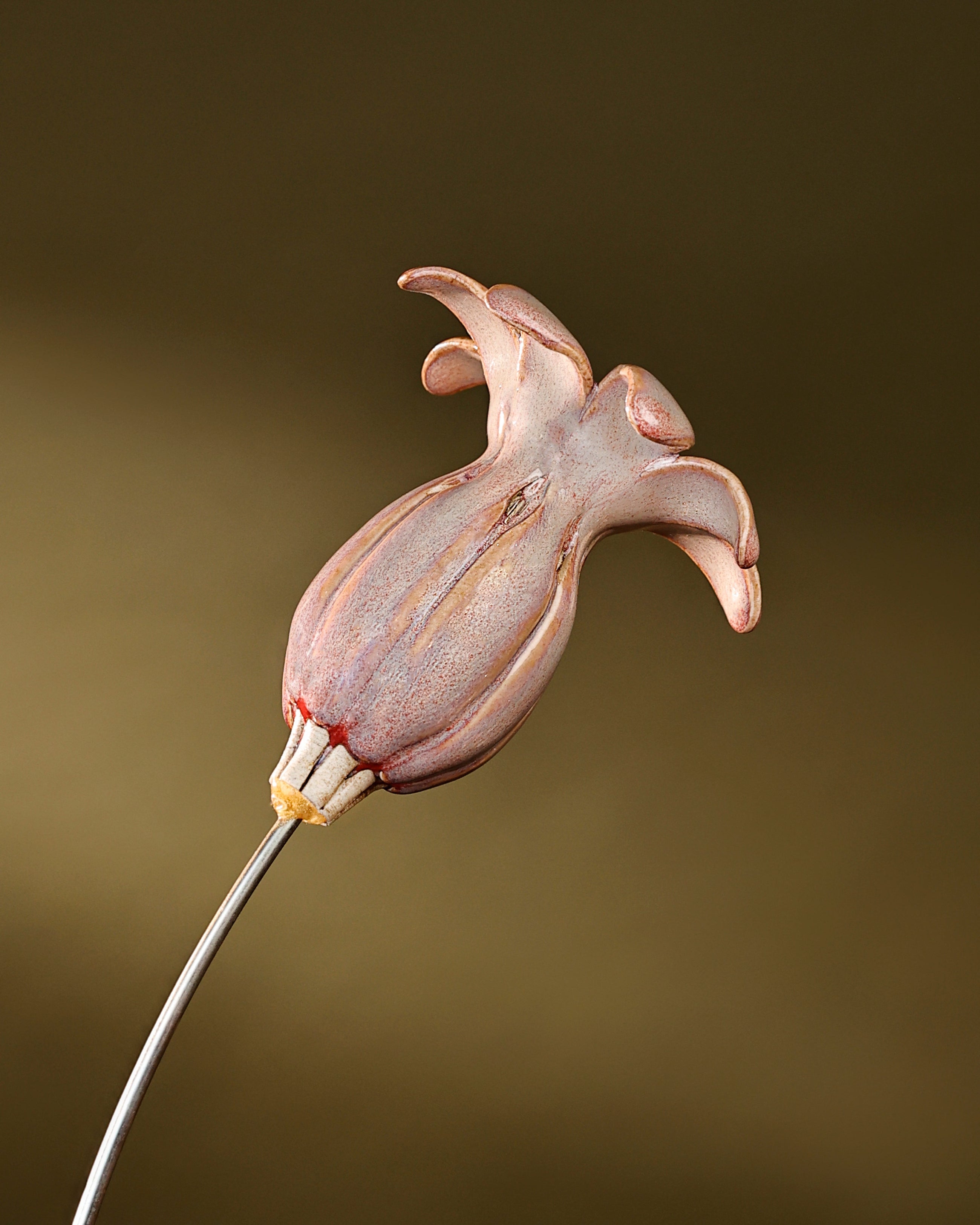 Flowering Pod Tall -single - Blush