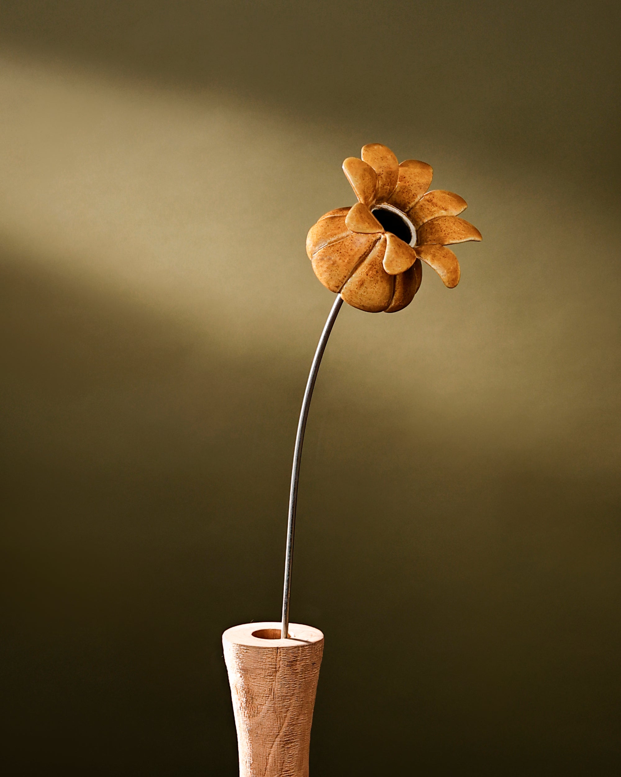 Blooming Pods - Single -Mustard