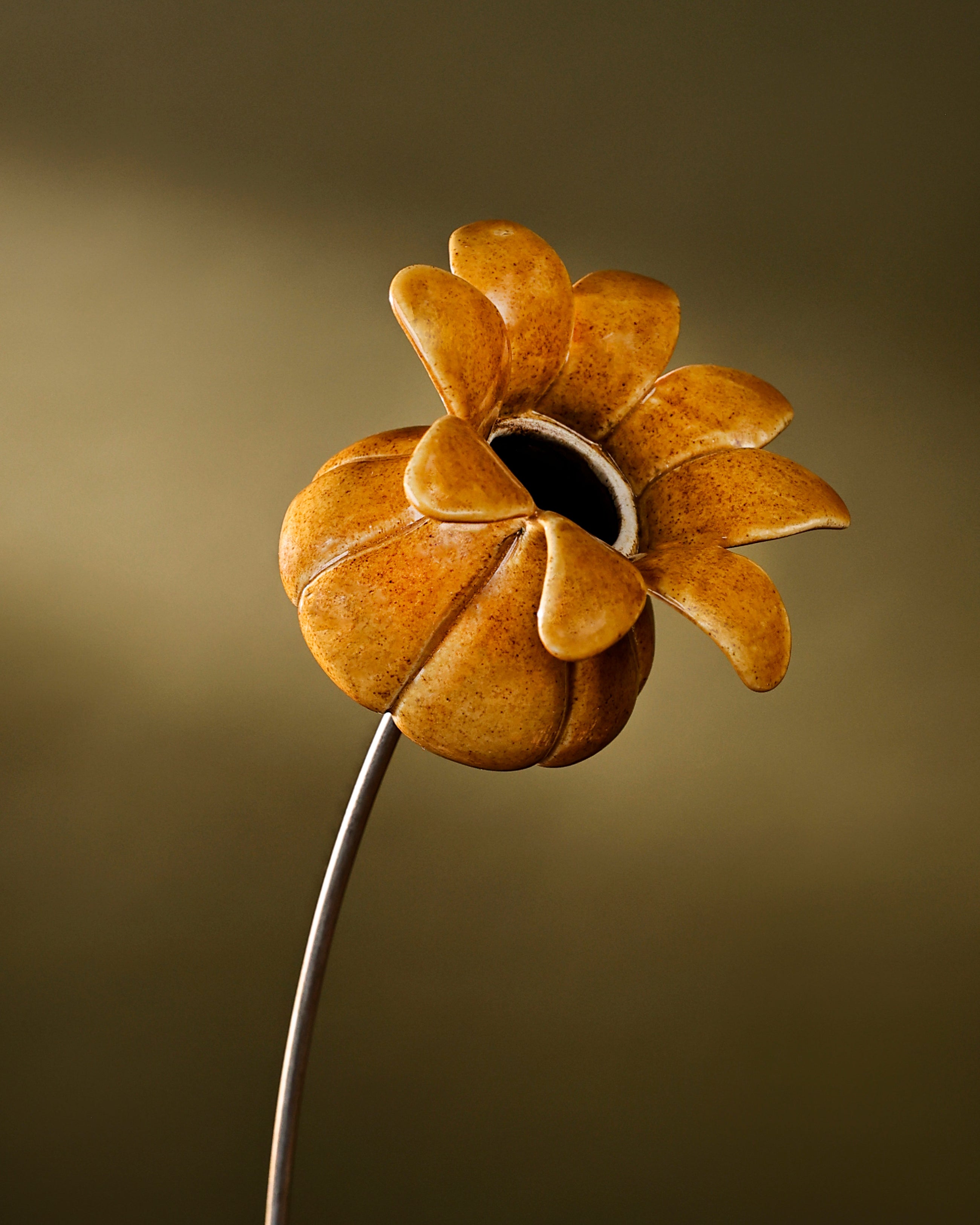 Blooming Pods - Single -Mustard