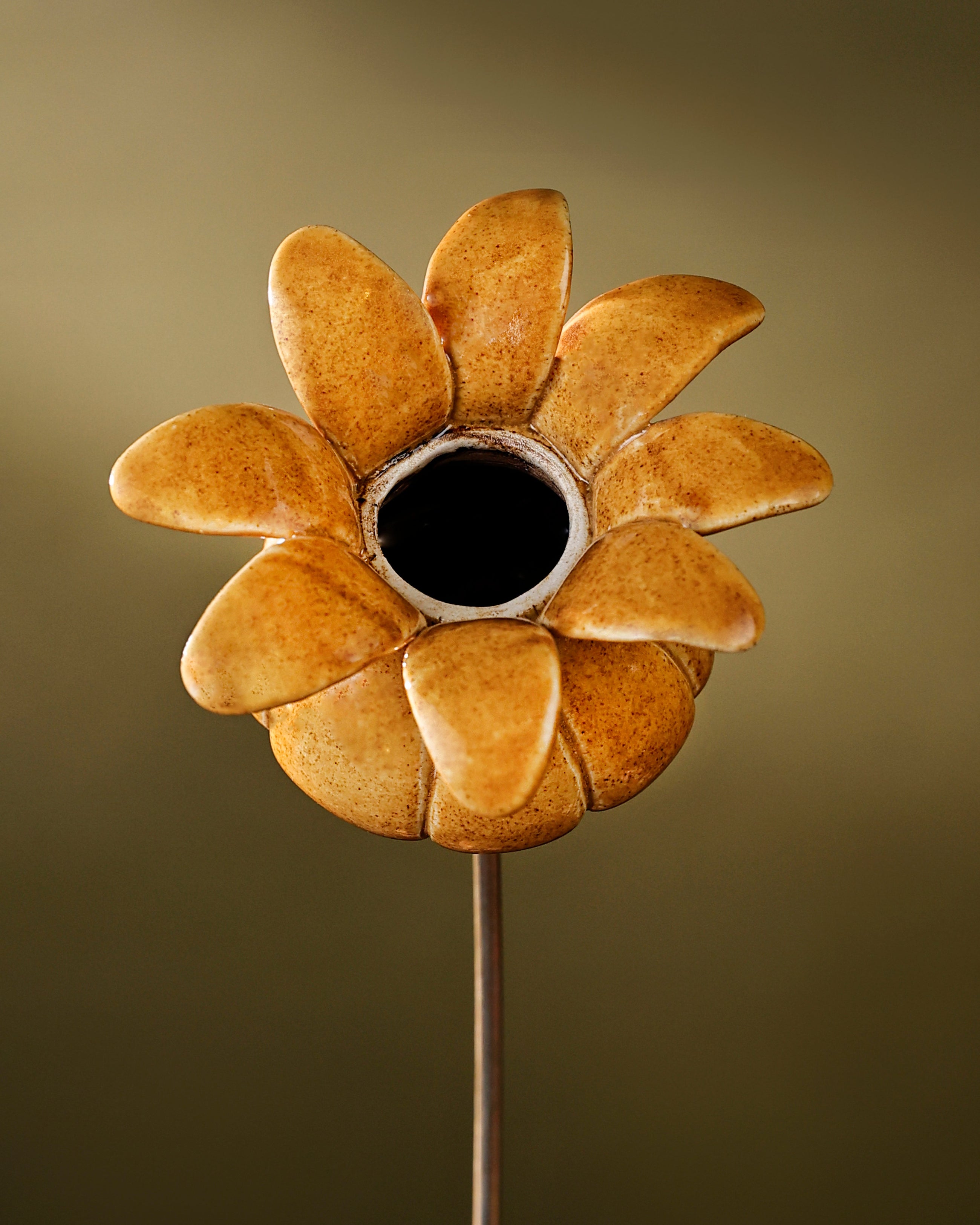 Blooming Pods - Single -Mustard