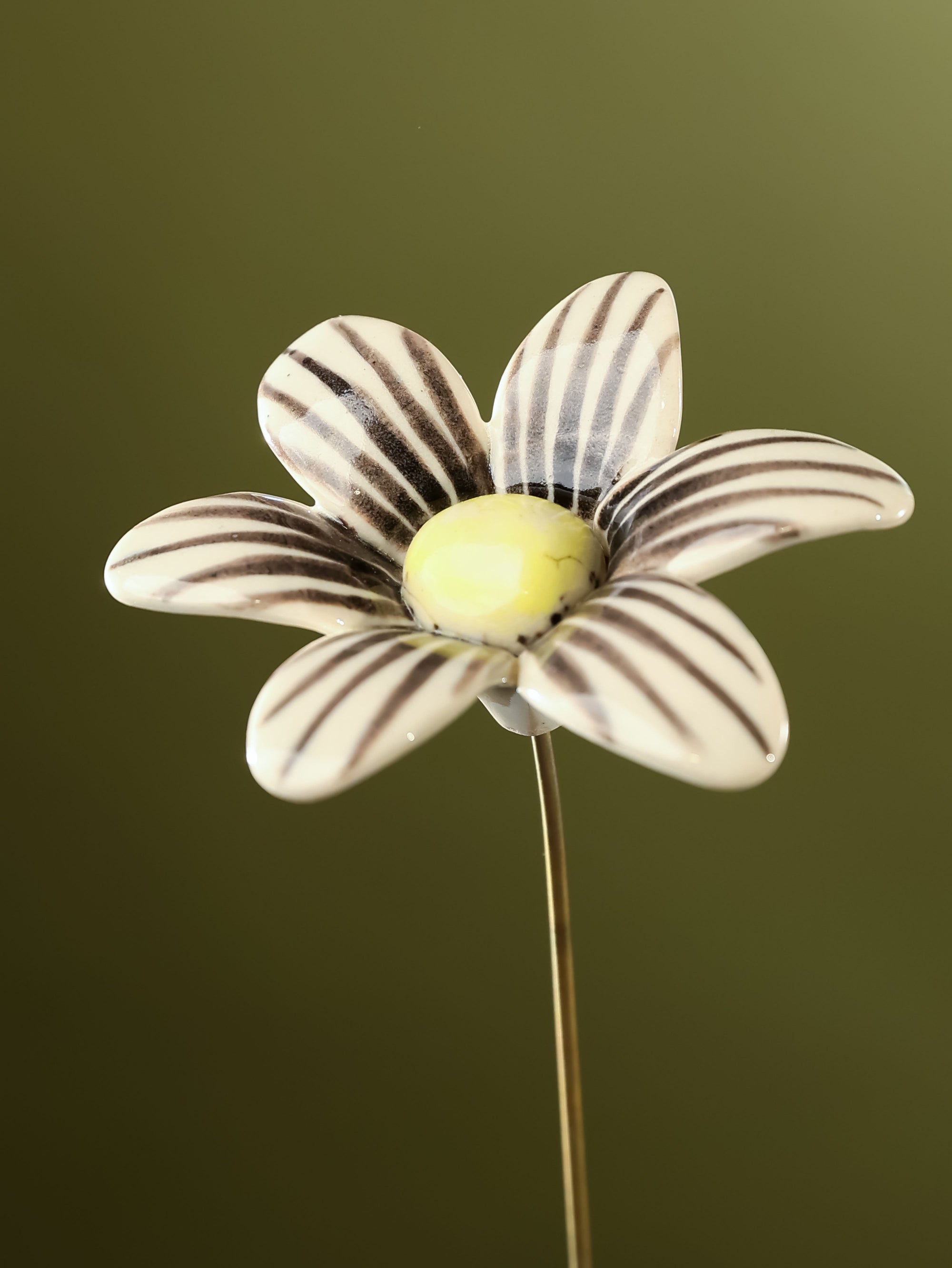 Single Stem Brushed Daisy - Black