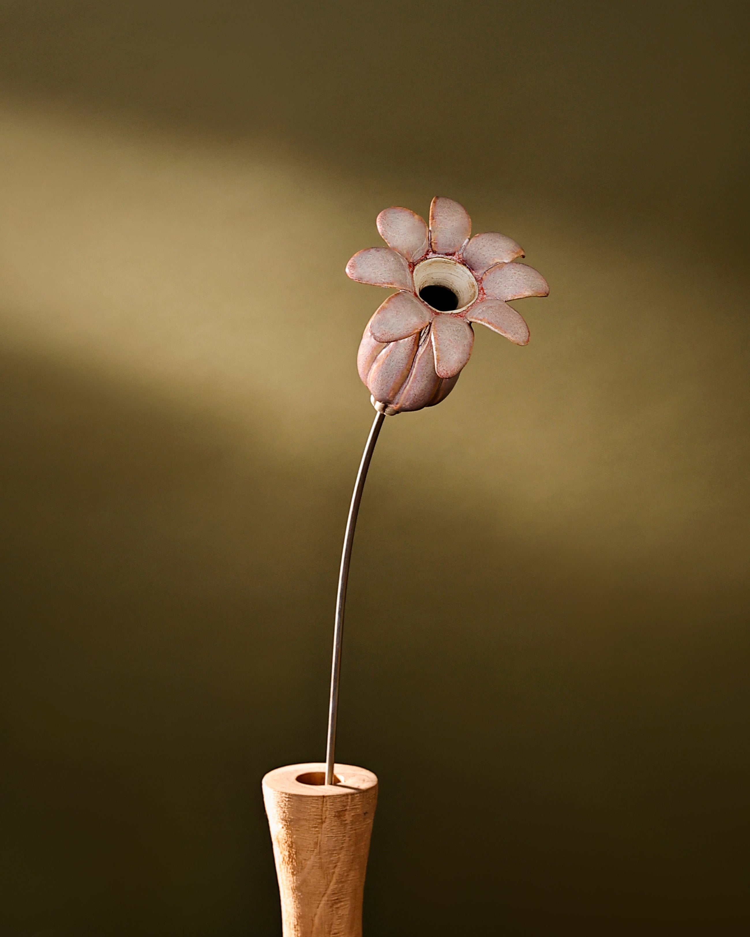 Flowering Pod Tall -single - Blush