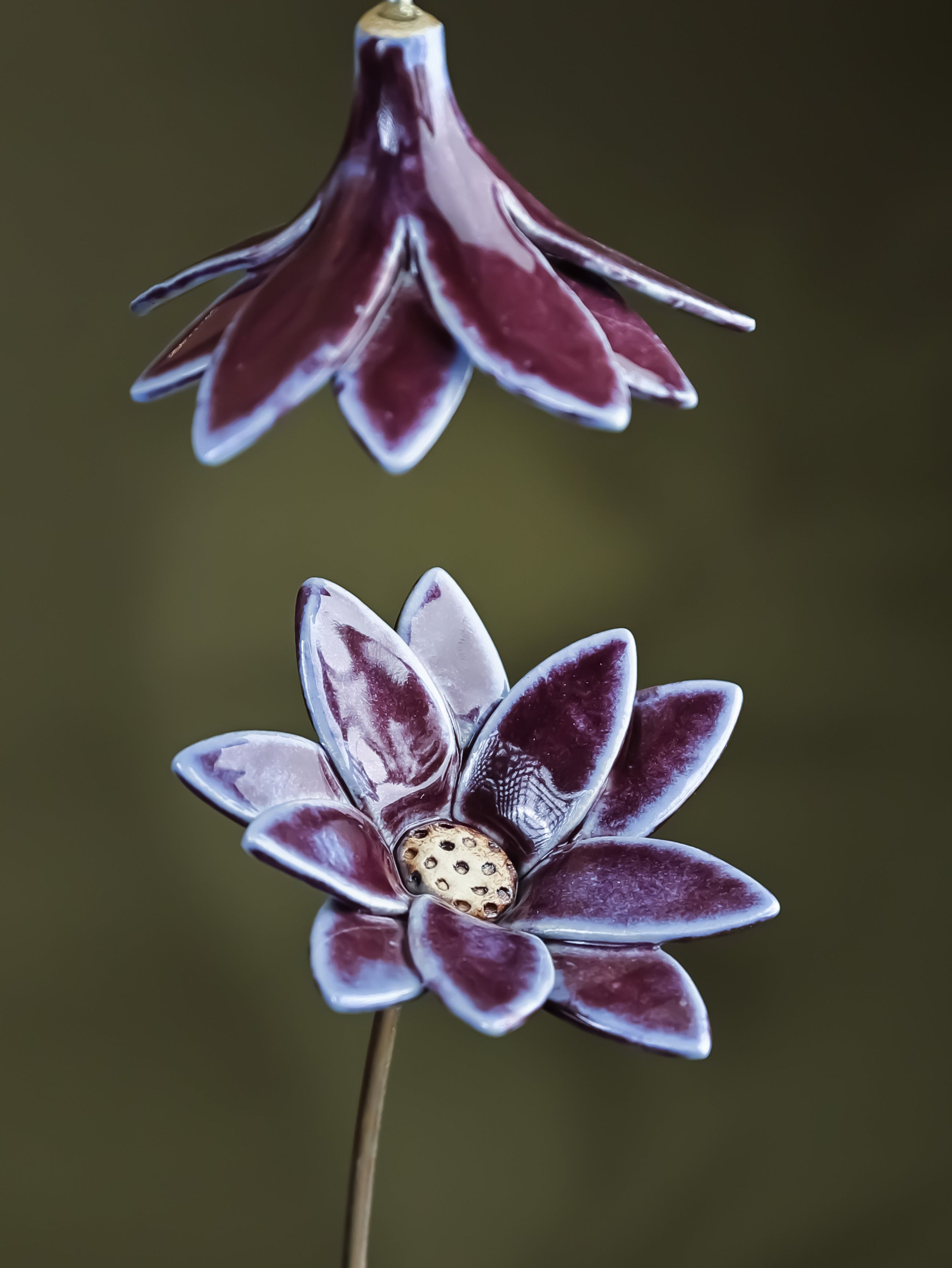 Edgy Daisy - Single flower stem large