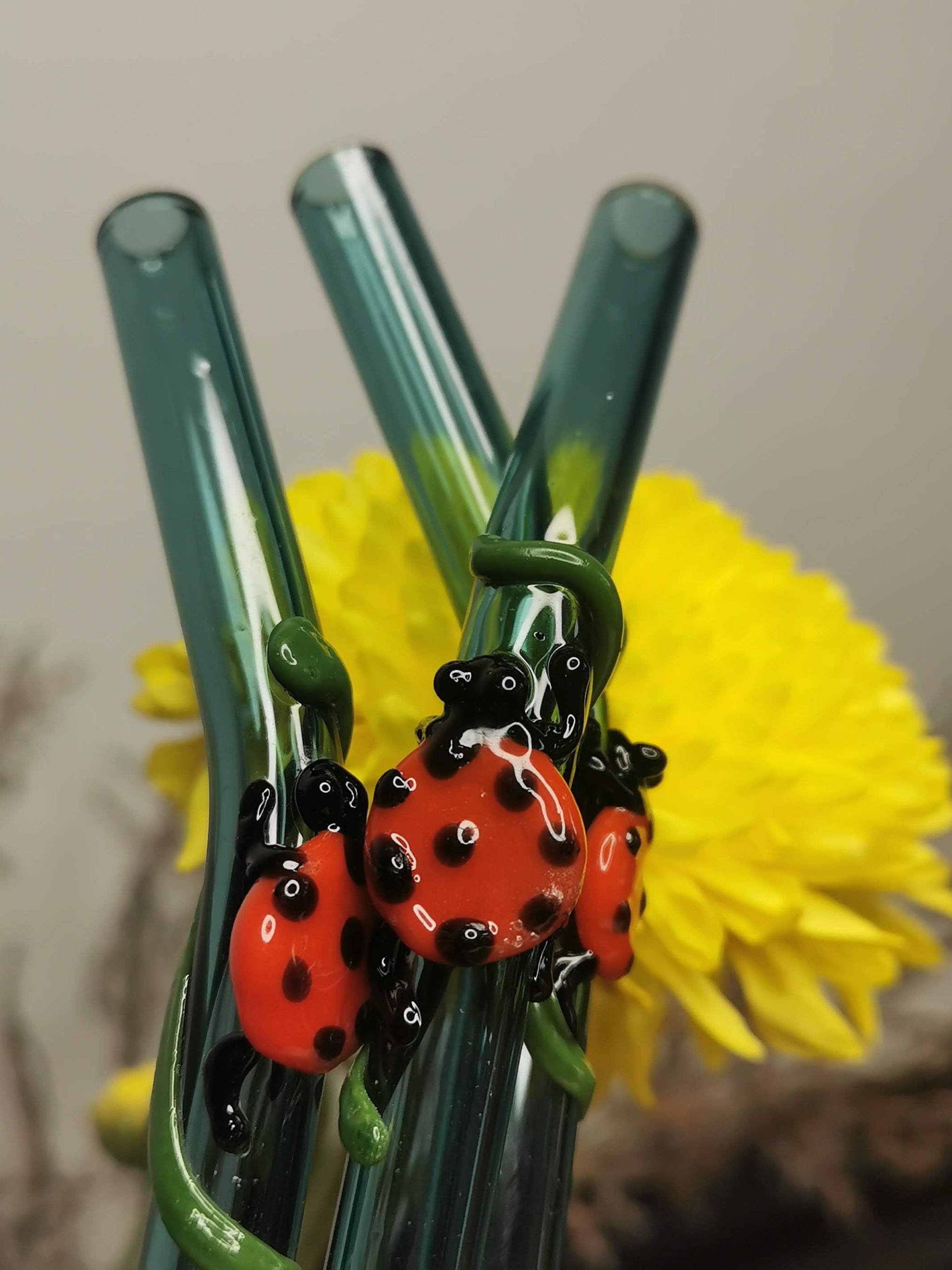 Lady Bug Collection (Teal Green) Glass Straws -Set of 2
