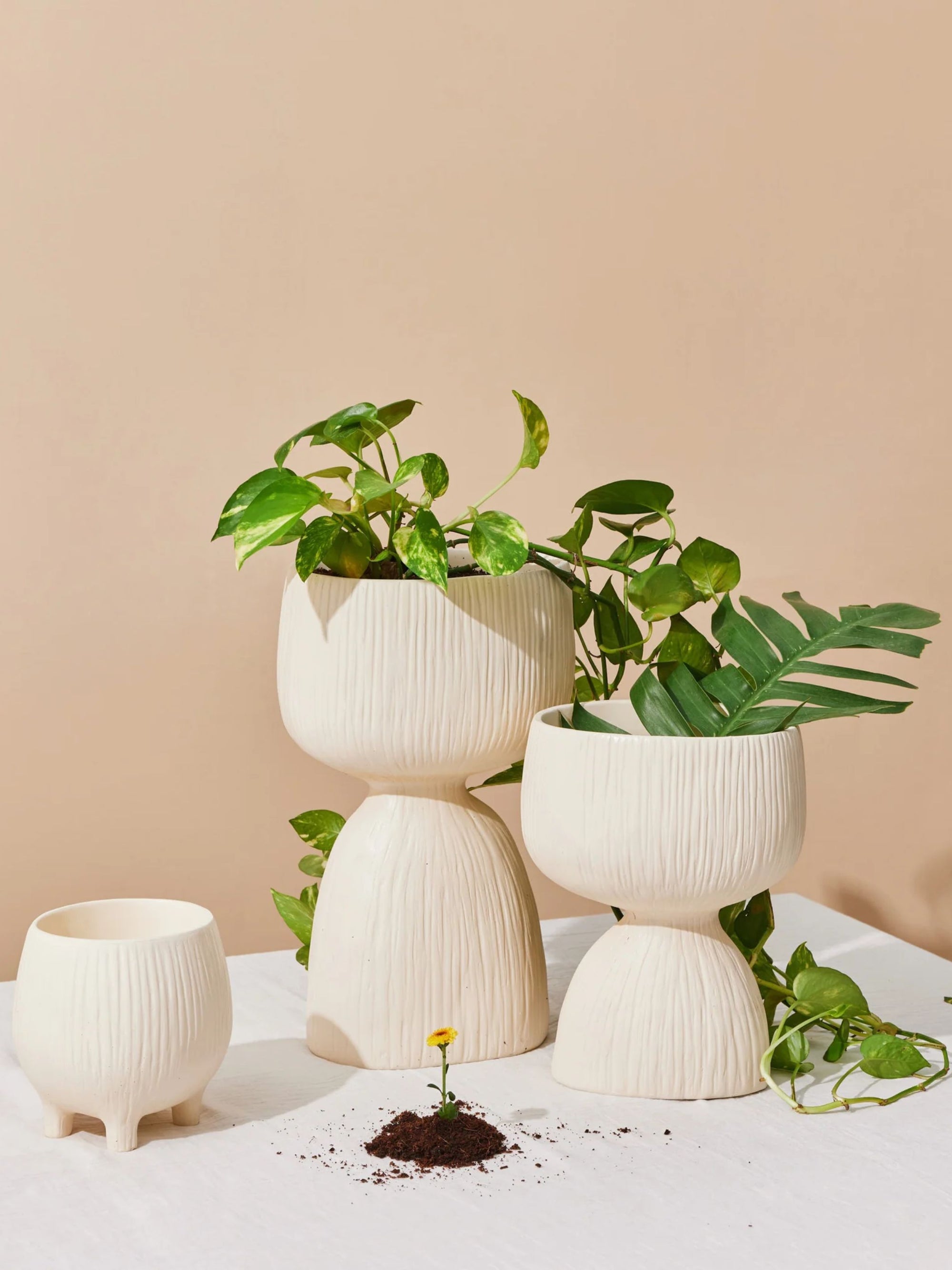 Handmade Organic Planter