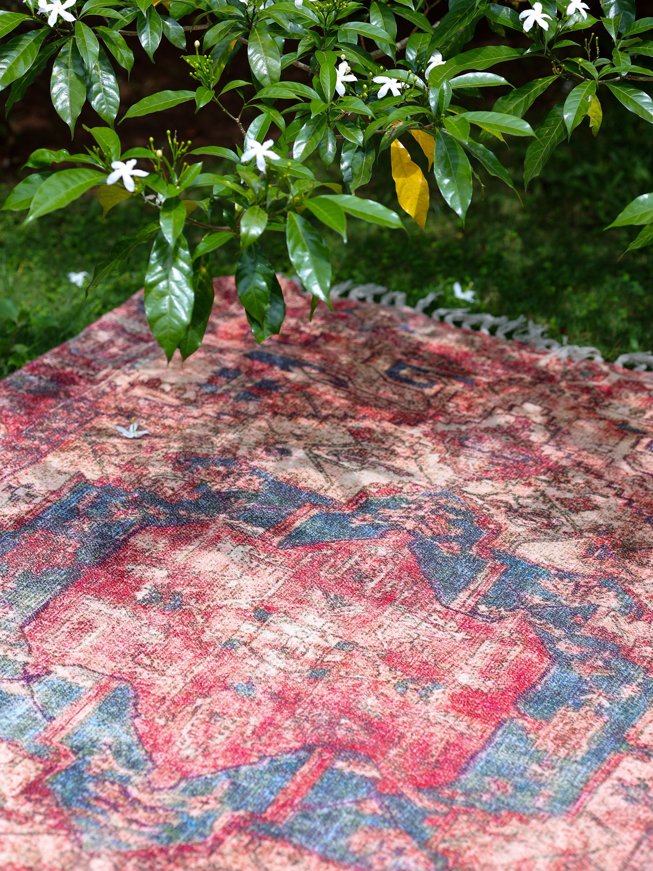 Printed Chenille Rug - Ruby Rose