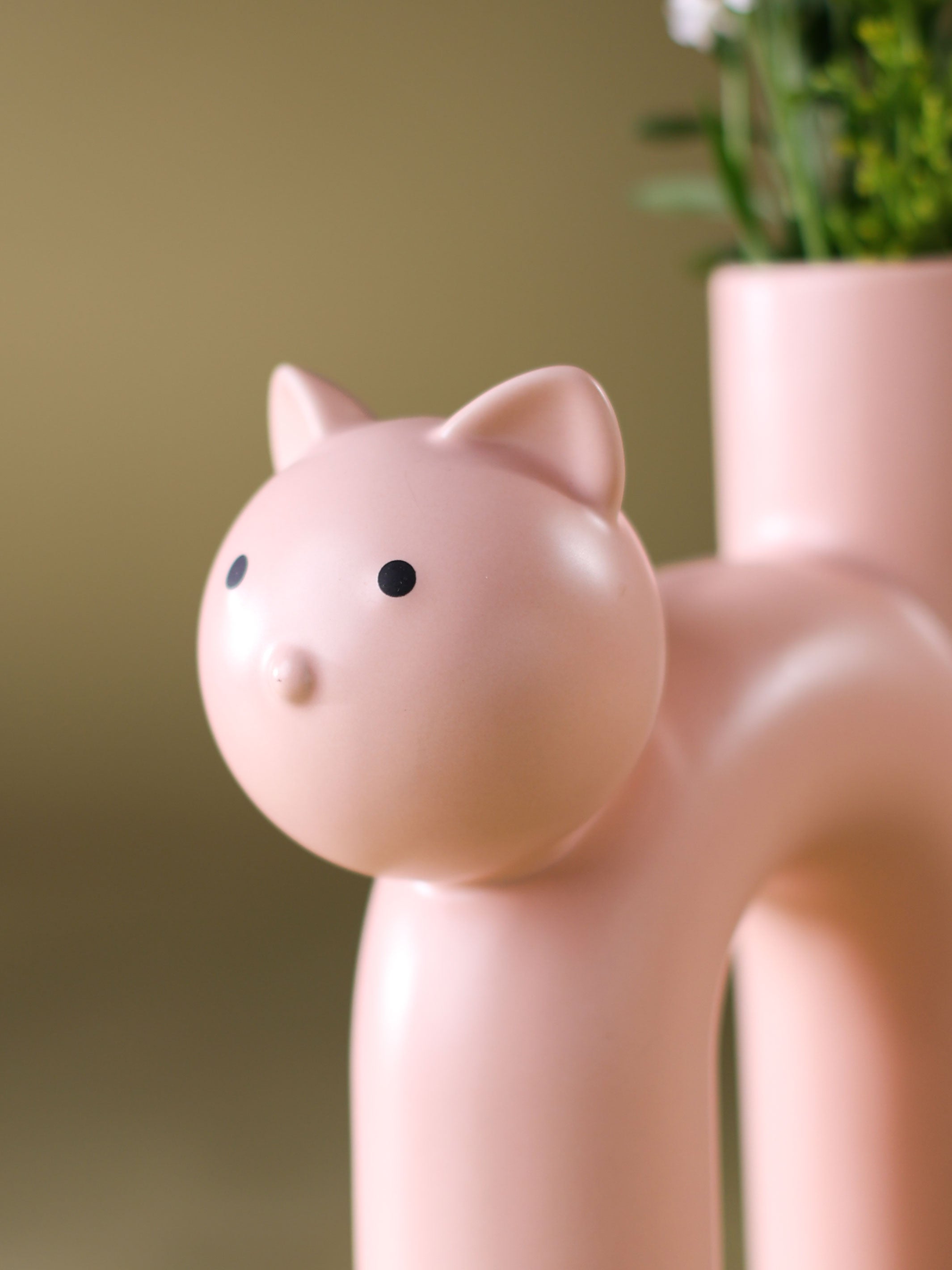 Tabular cat Flower-Dogwood Powder