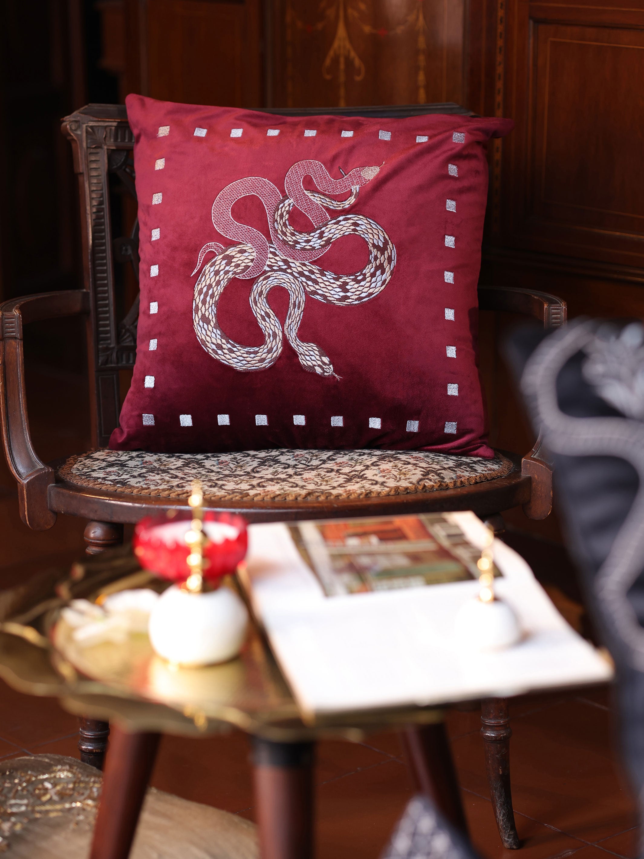 Vasuki Ruby Velvet Cushion