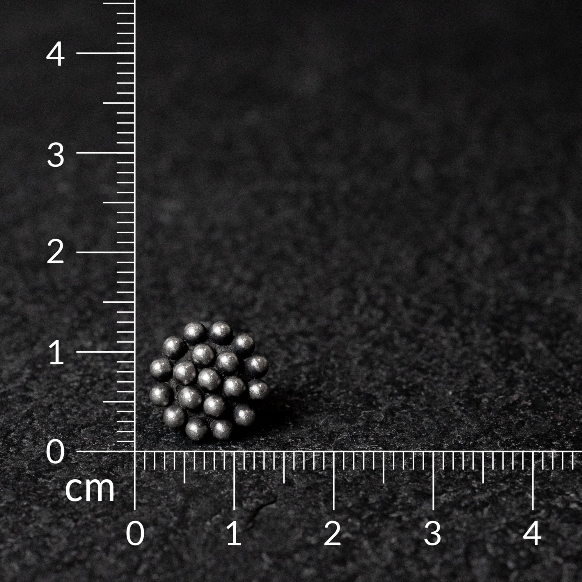 Rangphul Studs