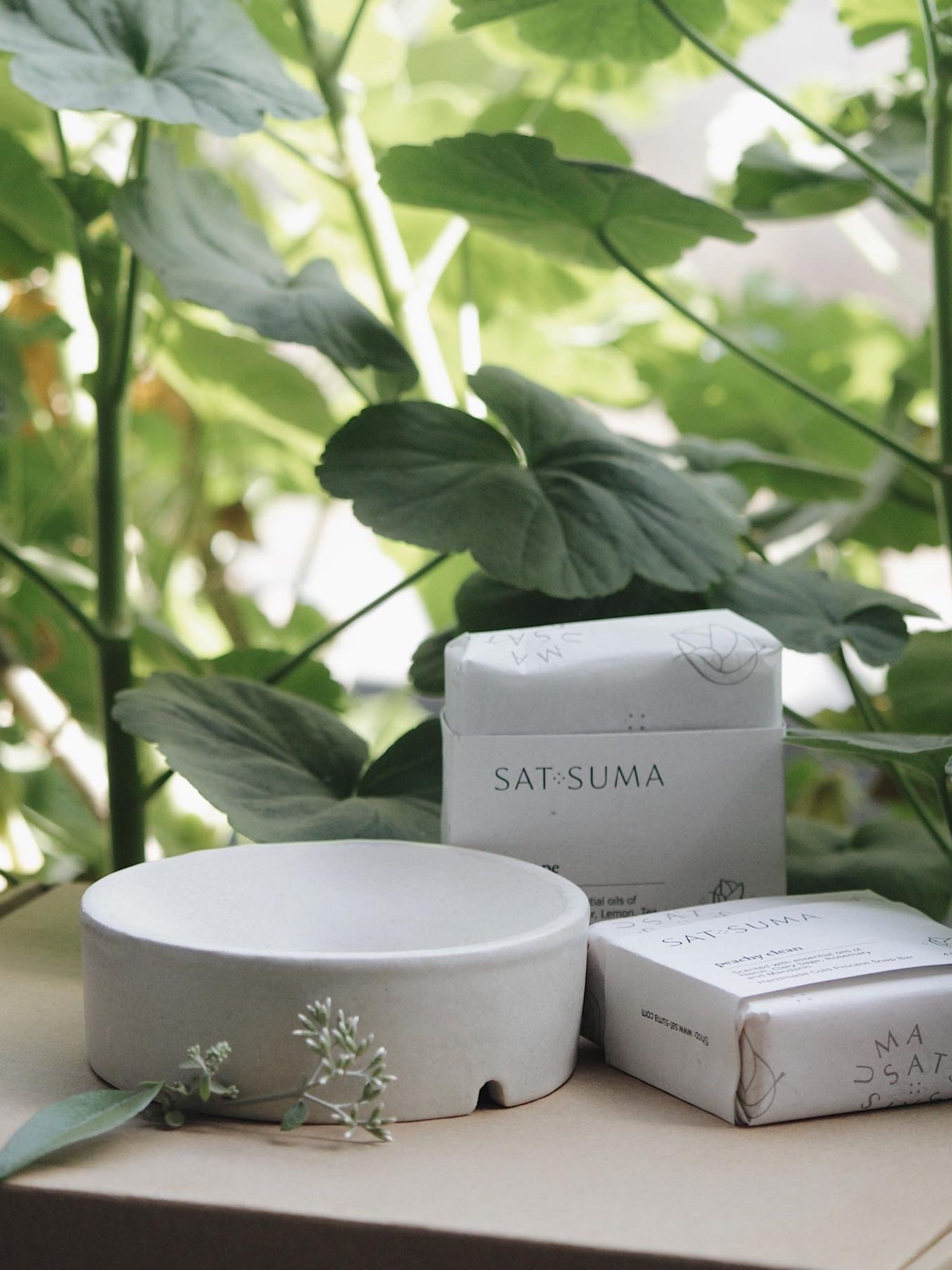 Set of 2 Soaps & a Soap-dish