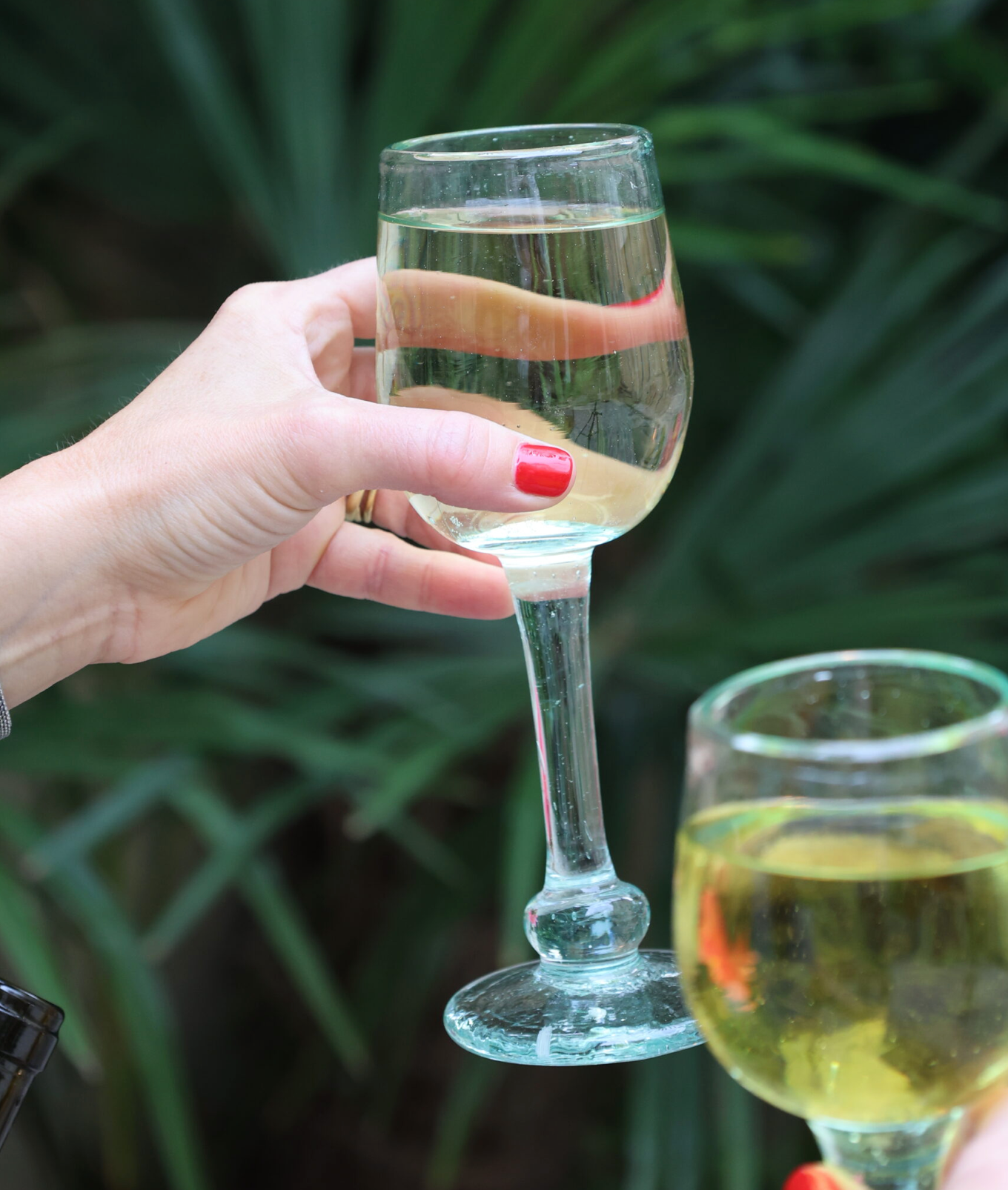 Sassy Sauvignon Transparent