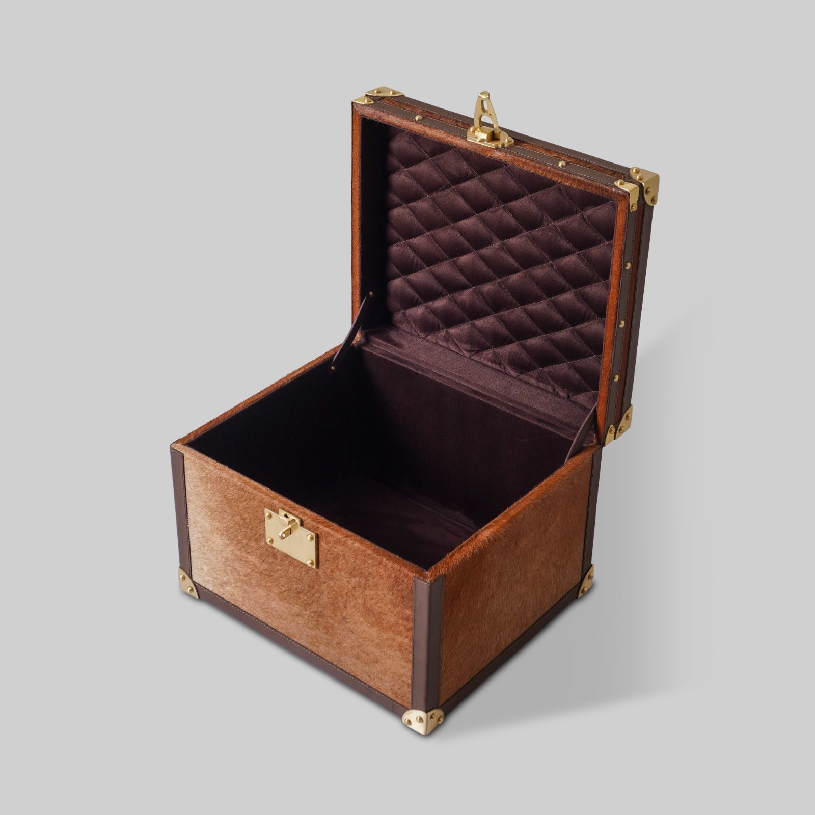 Hairon Leather Trunk